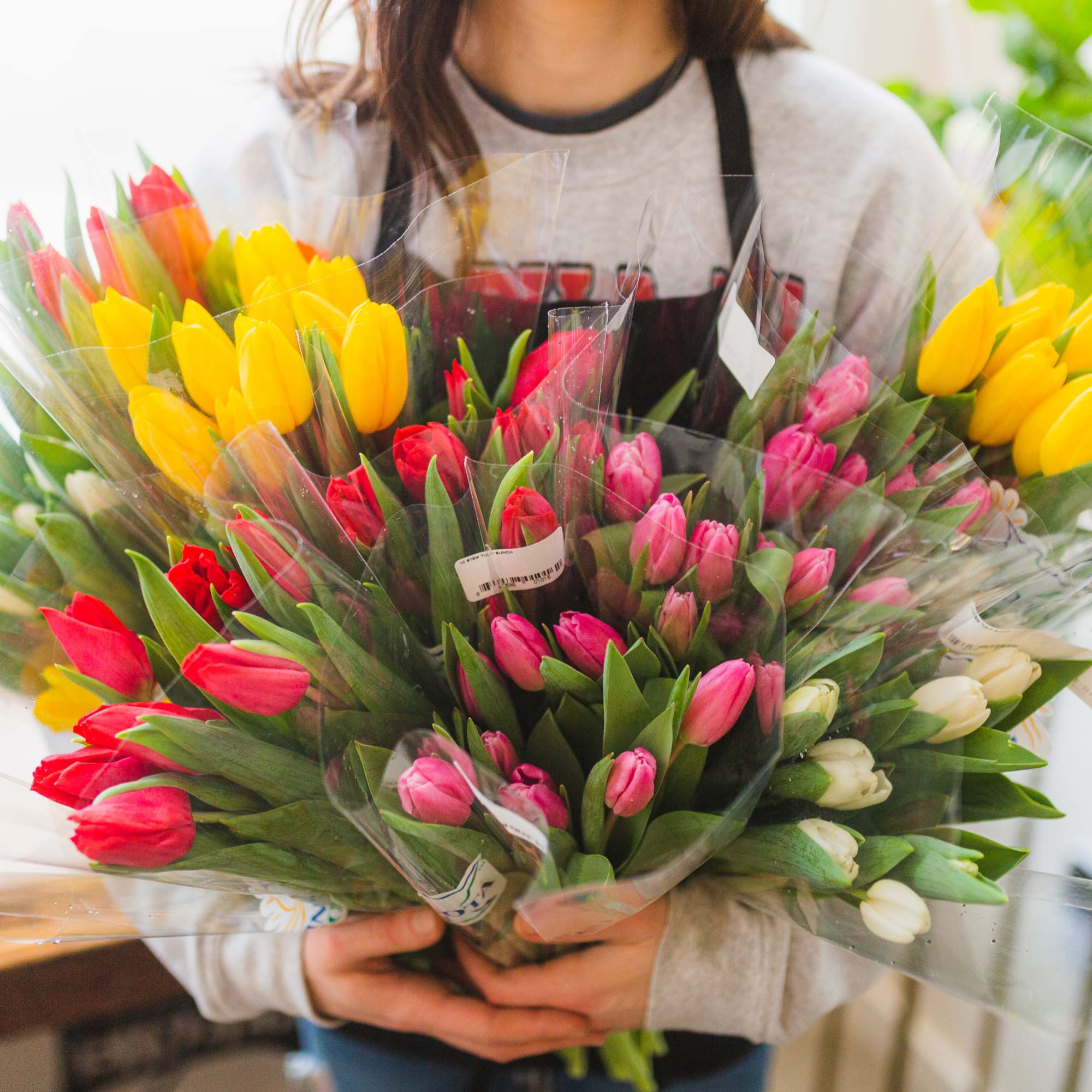 It's tulip time! Brighten up the dreary winter days with some Minnesota-grown It's tulip time! Brighten up the dreary winter days with some Minnesota-grown
