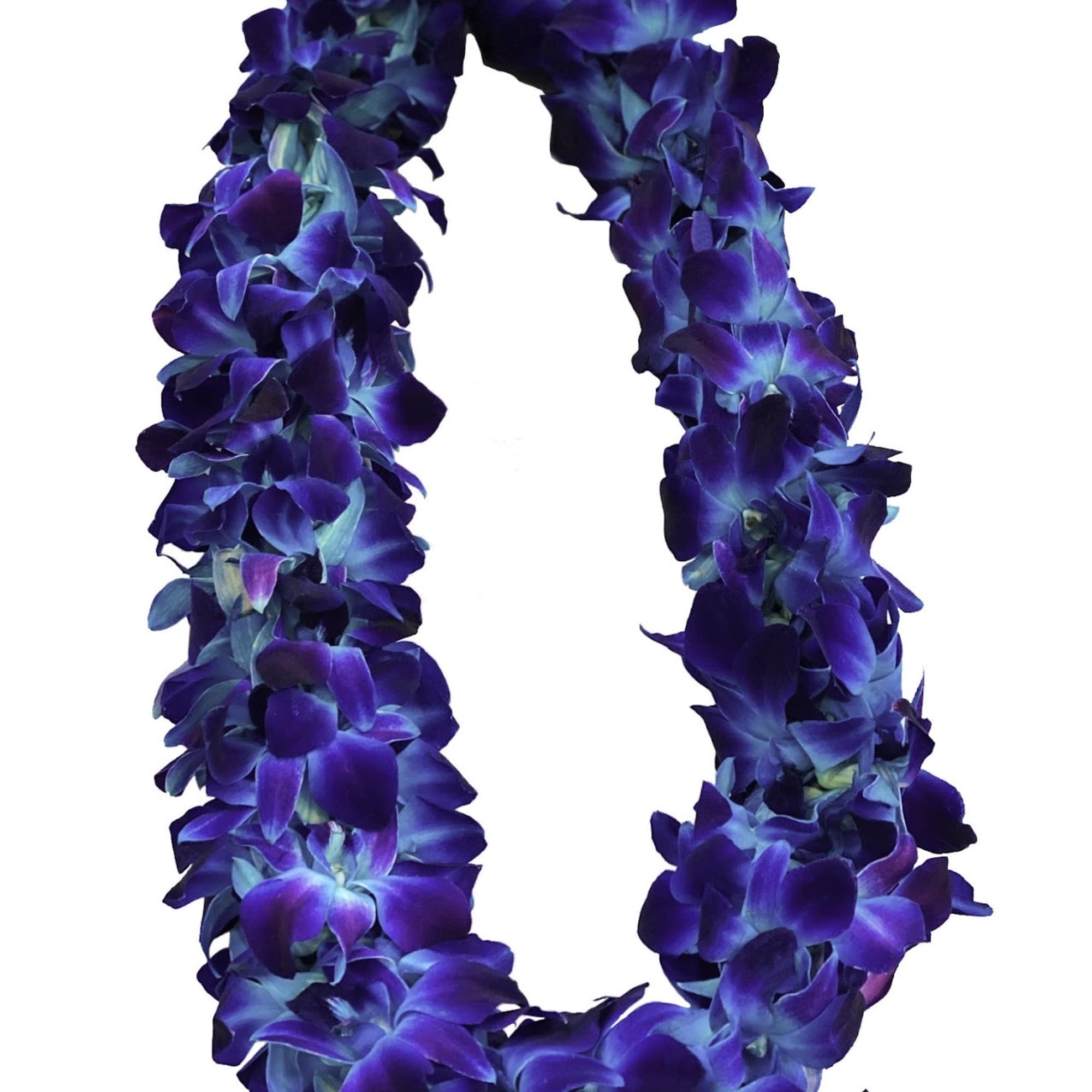 Graduation Leis
Standard: Double solid purple $55( Purple Only)
Deluxe: Other Solid color leis