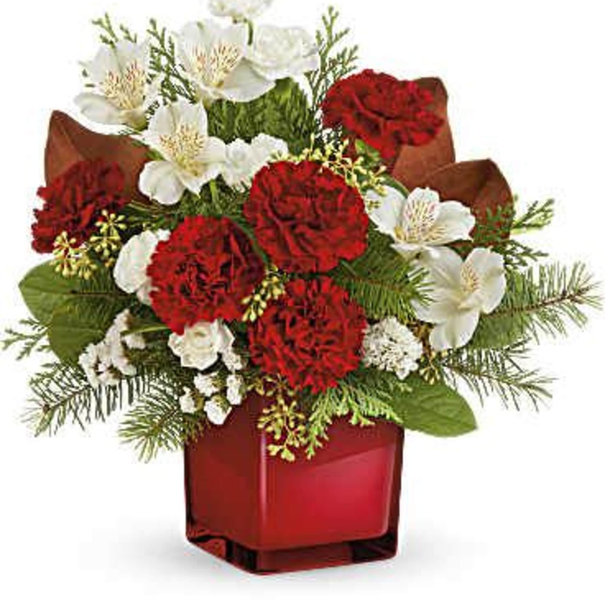 Elevate their holiday spirits with this timeless Christmas carnations bouquet in a Elevate their holiday spirits with this timeless Christmas carnations bouquet in a
