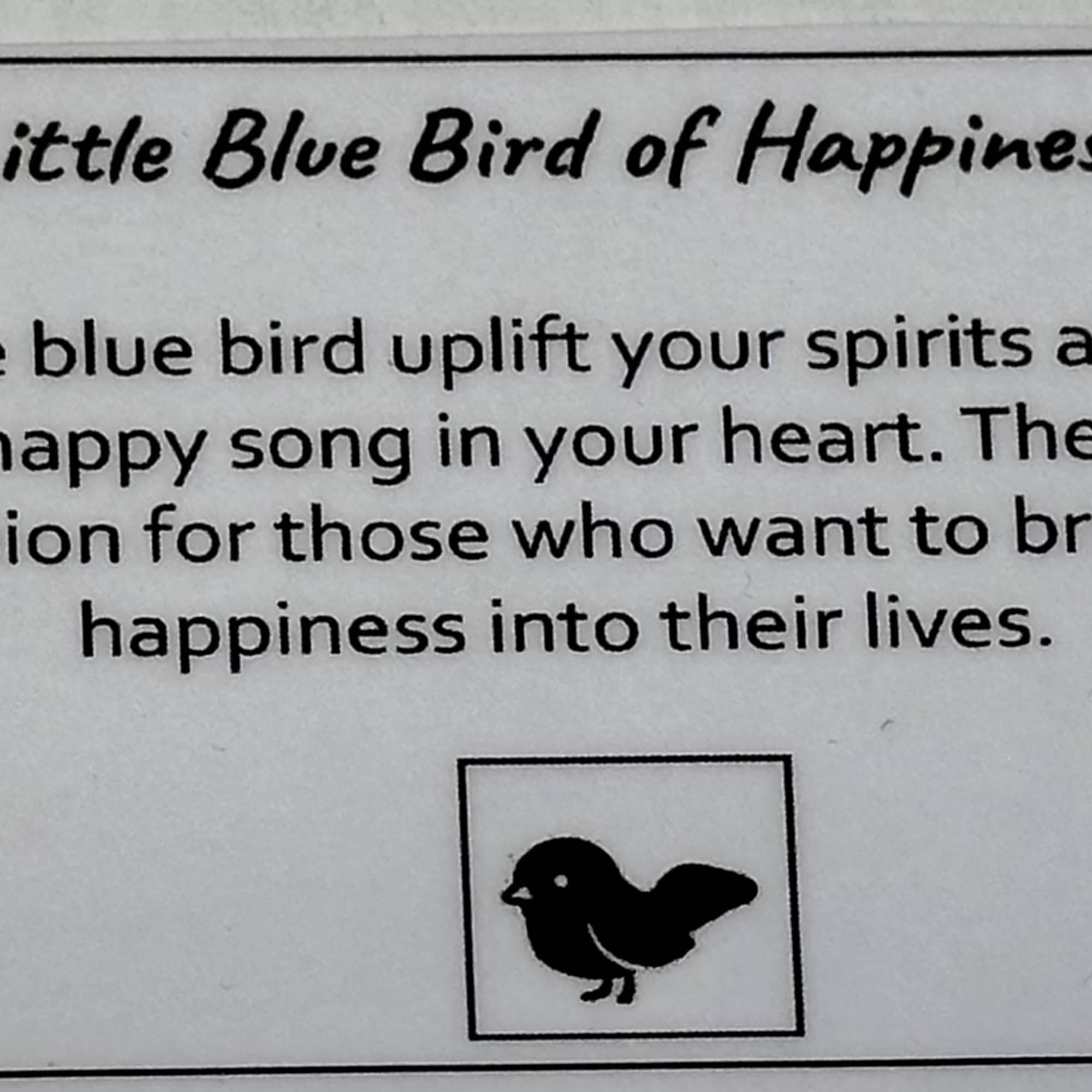 Little Blue Bird of Happiness
~ Let this little blue bird uplift your
