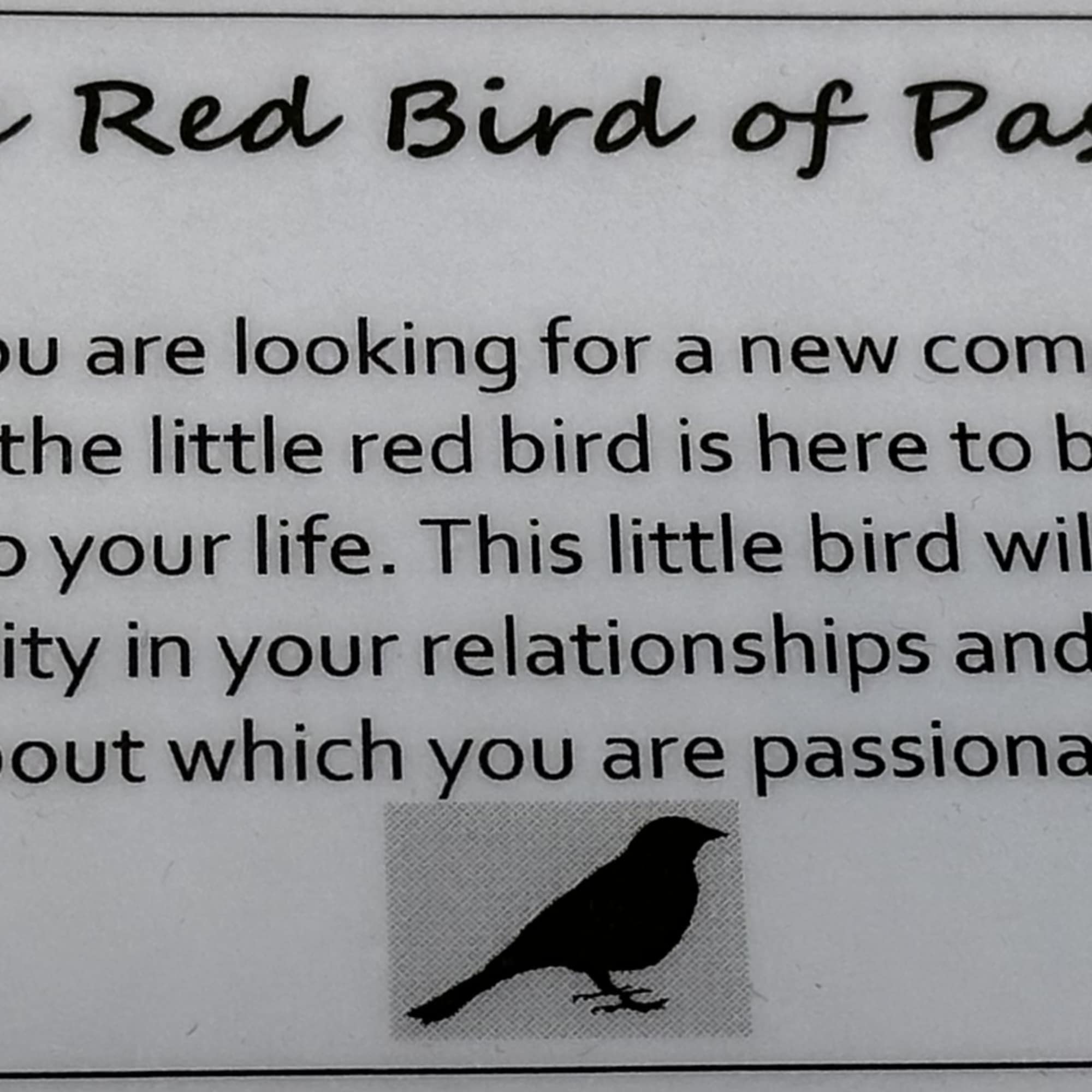 Little Red Bird of Passion
~ Whether you are looking for a new