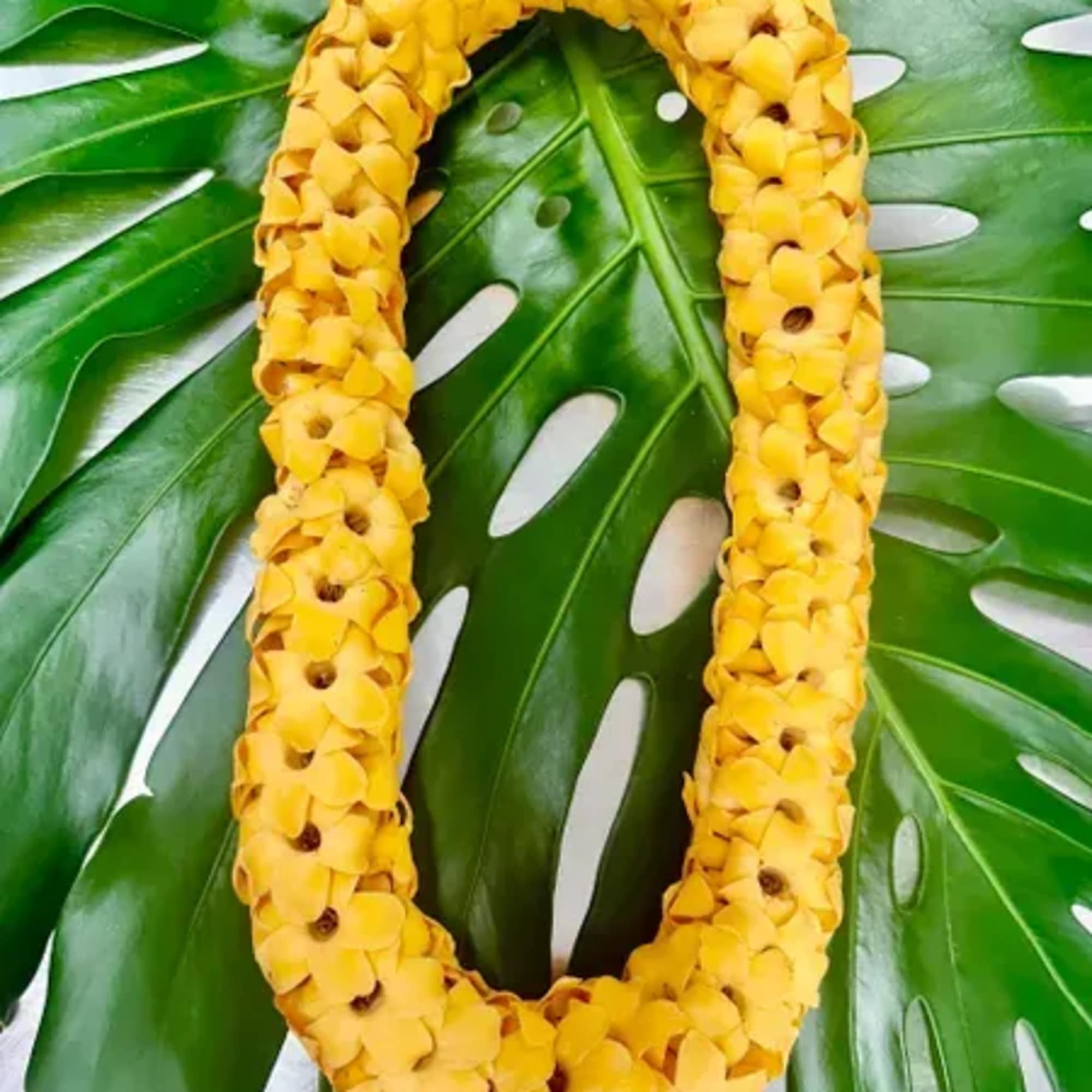 Puakenikeni Leiby The Orchid Design Florist LLC