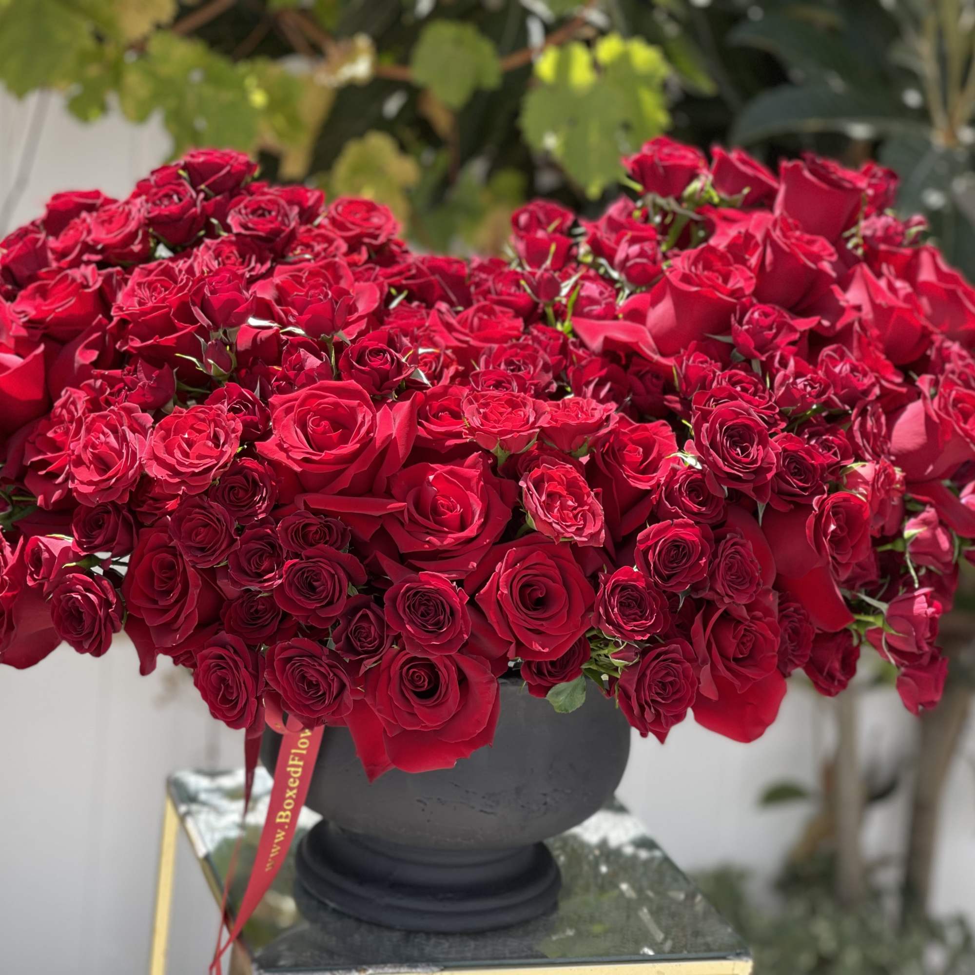 Modern cement vase filled with a variation of big and small red Modern cement vase filled with a variation of big and small red
