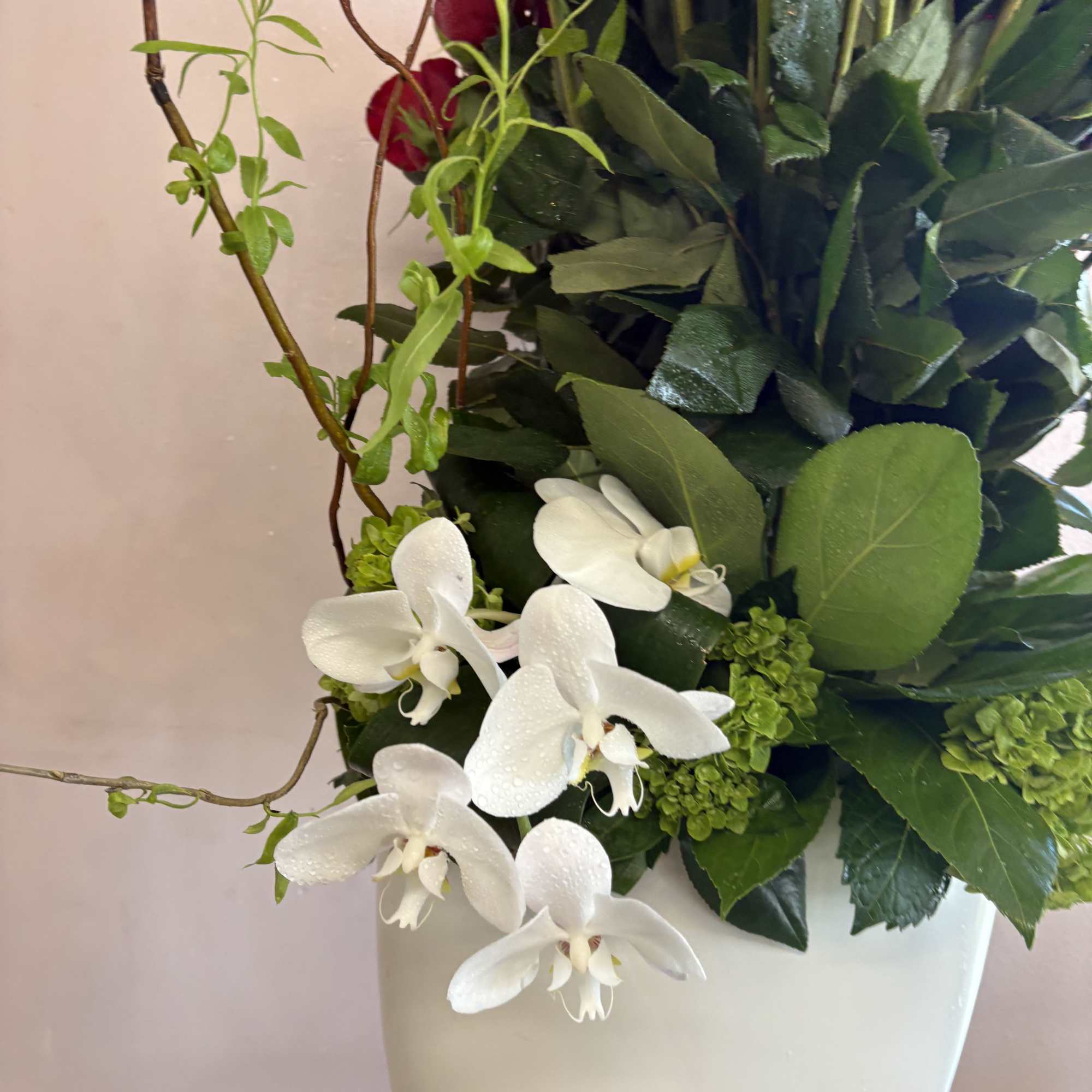 3 Dozen red roses, red cymbidium orchids, white phalaenopsis orchids accent with