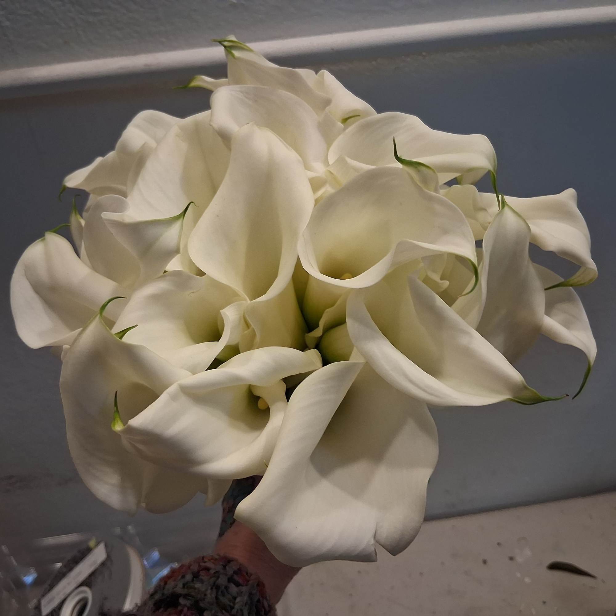 Beautiful stylish calla lilies in one bundle bridal bouquet