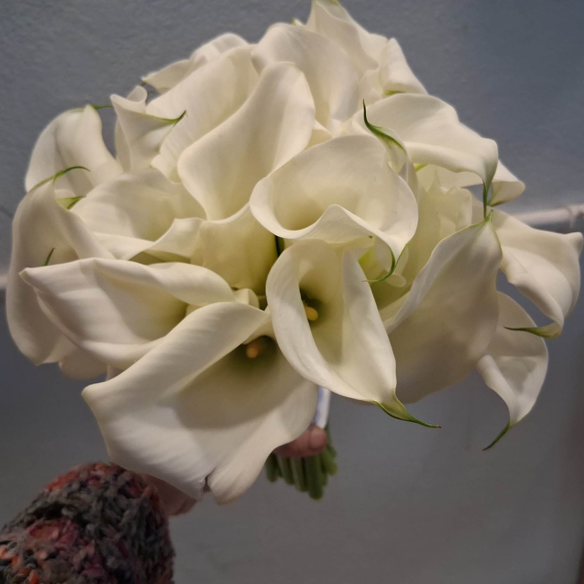 Beautiful stylish calla lilies in one bundle bridal bouquet