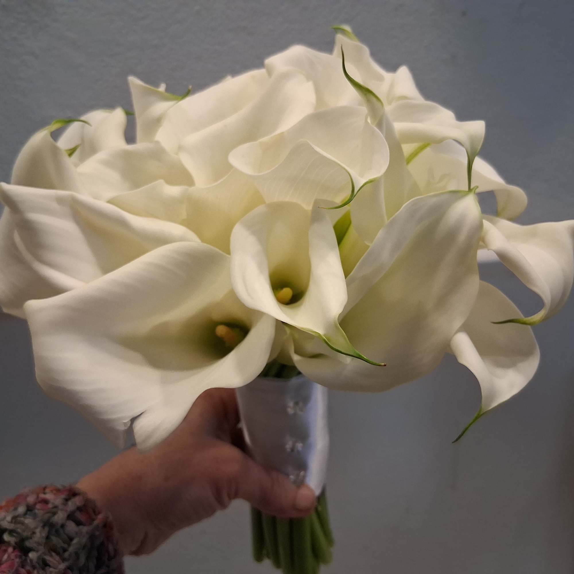 Beautiful stylish calla lilies in one bundle bridal bouquet