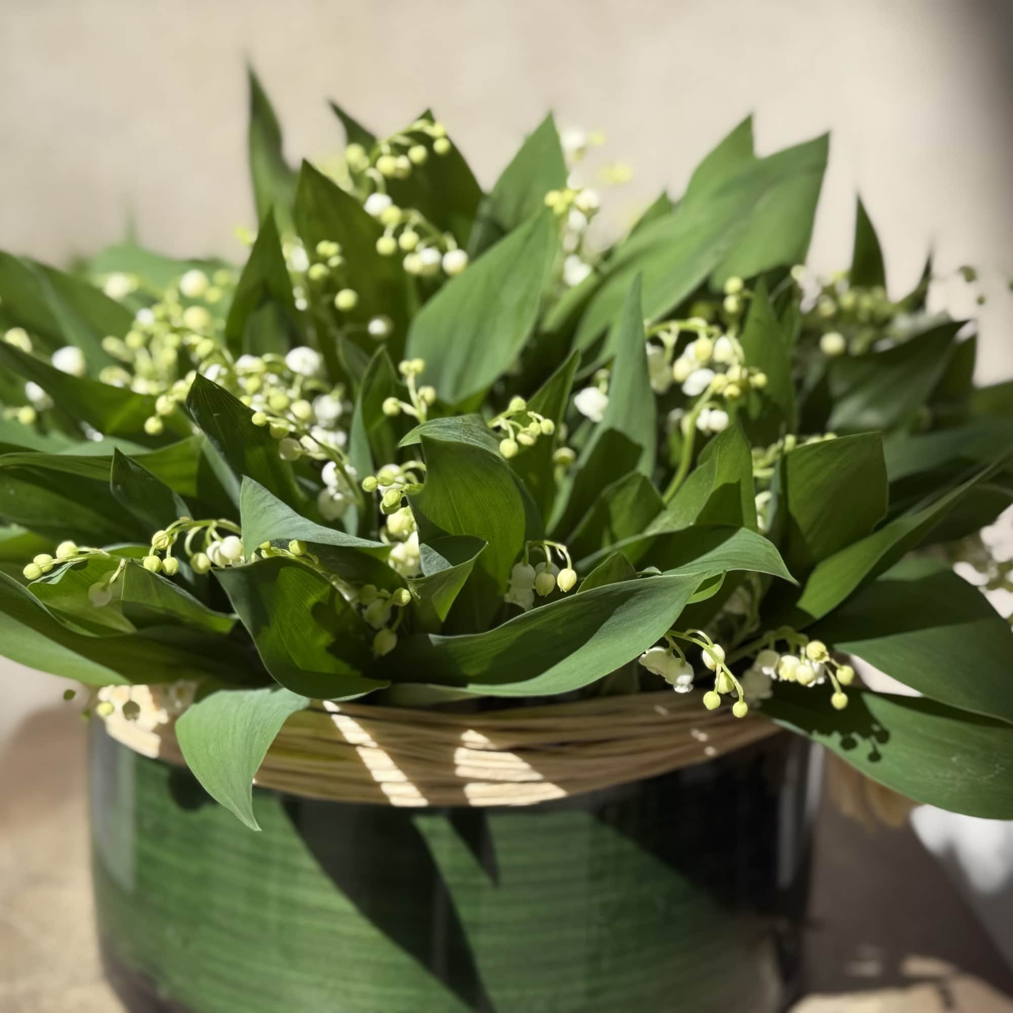 Green arrangement with small white lily-of-the-valley flowers in a glass container