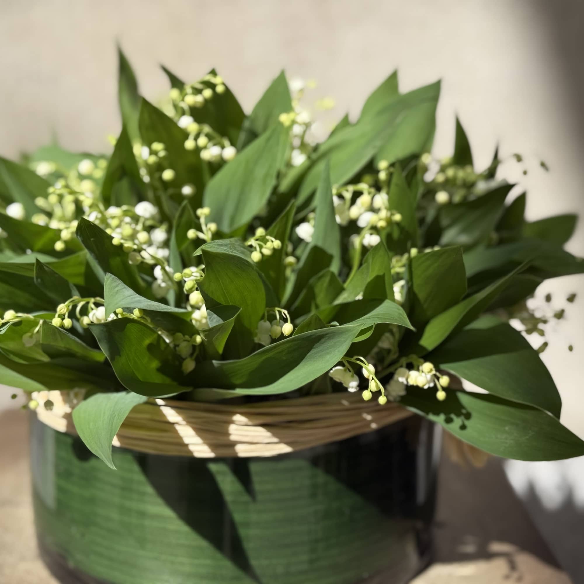 Green arrangement with small white bell-shaped flowers in a round container