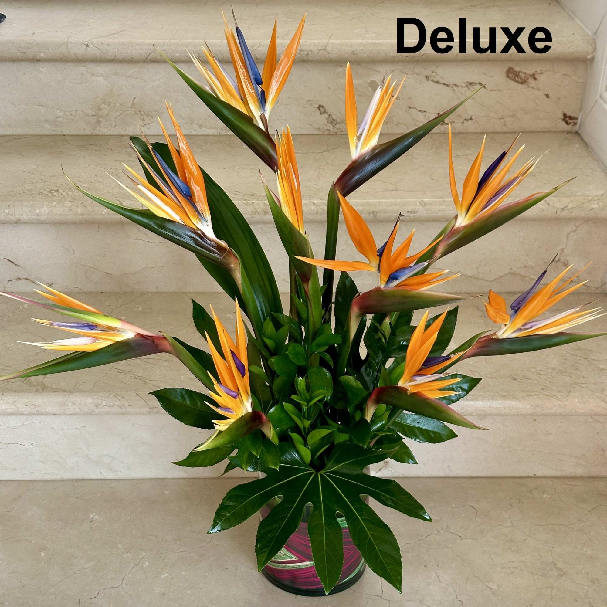 Birds of Paradise arranged in a vase. Birds of Paradise arranged in a vase.