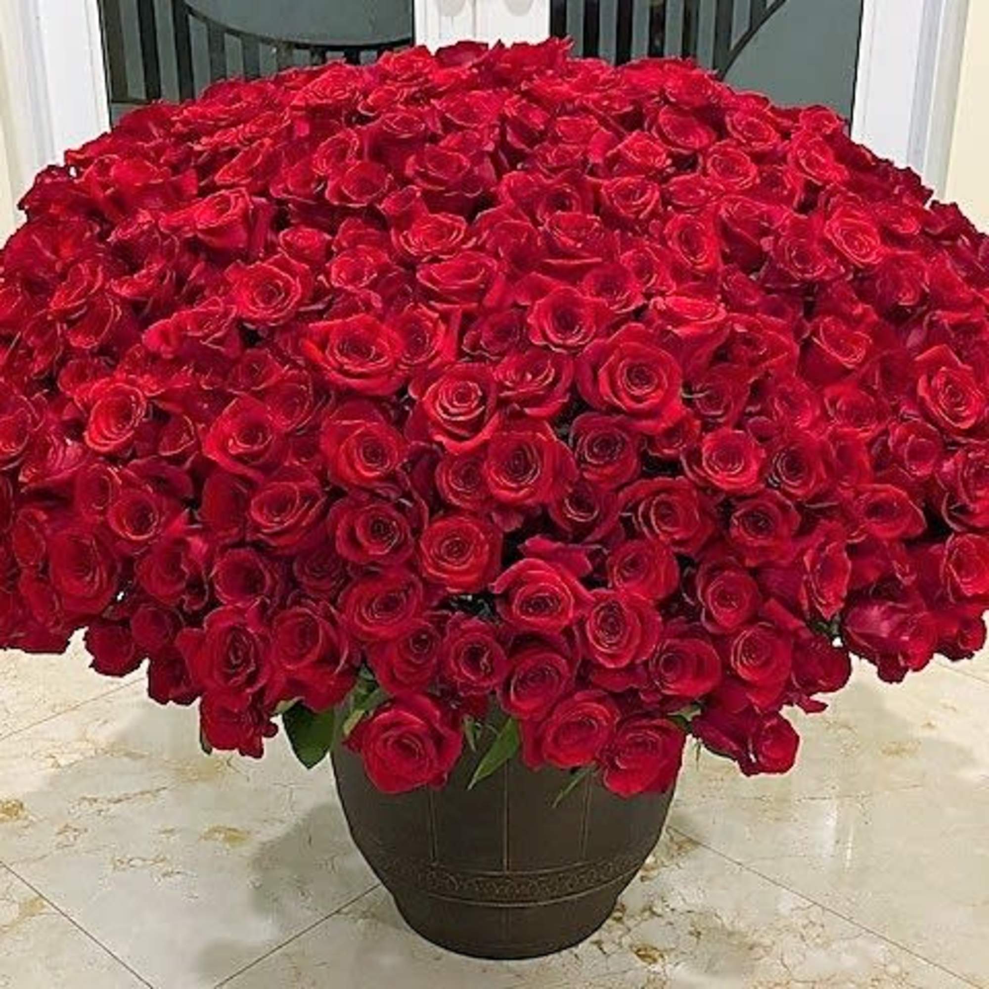 500 Premium Long Stem Red Roses arranged in vase