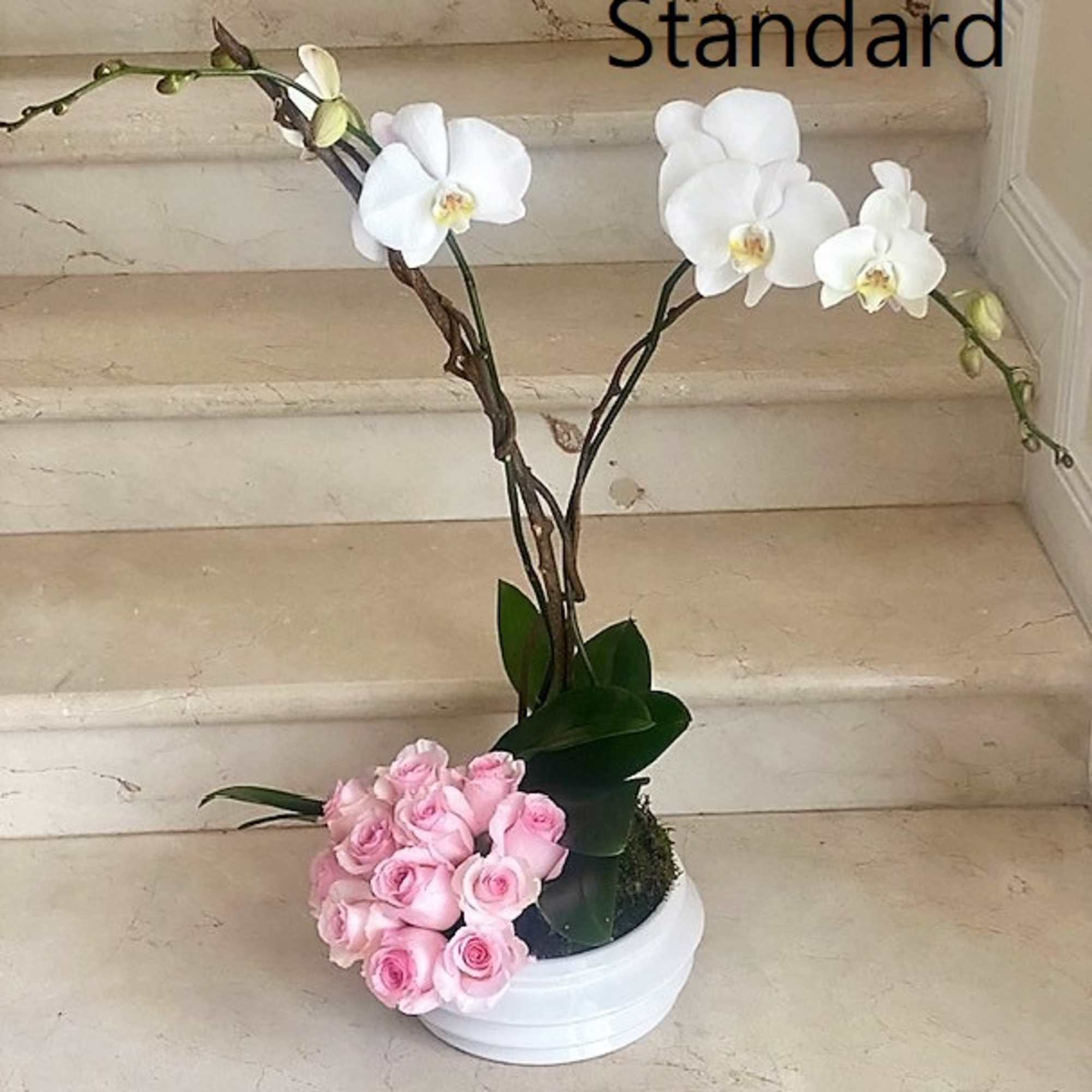 2 Orchids arranged with 12 Roses in ceramic container, STANDARD.
2 Orchids arranged 2 Orchids arranged with 12 Roses in ceramic container, STANDARD.
2 Orchids arranged