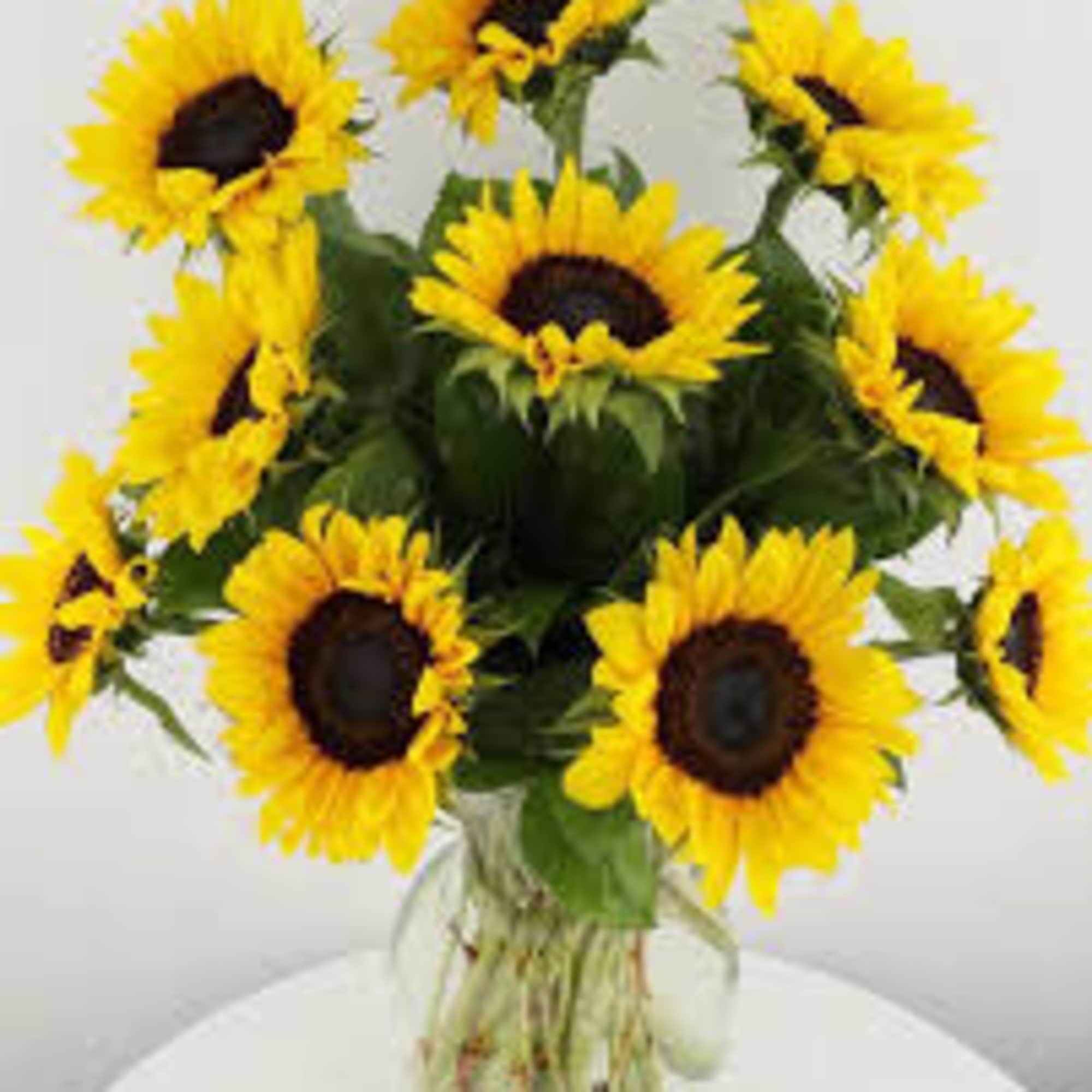 Nothing lights up a room like the golden glow of sunny sunflowers