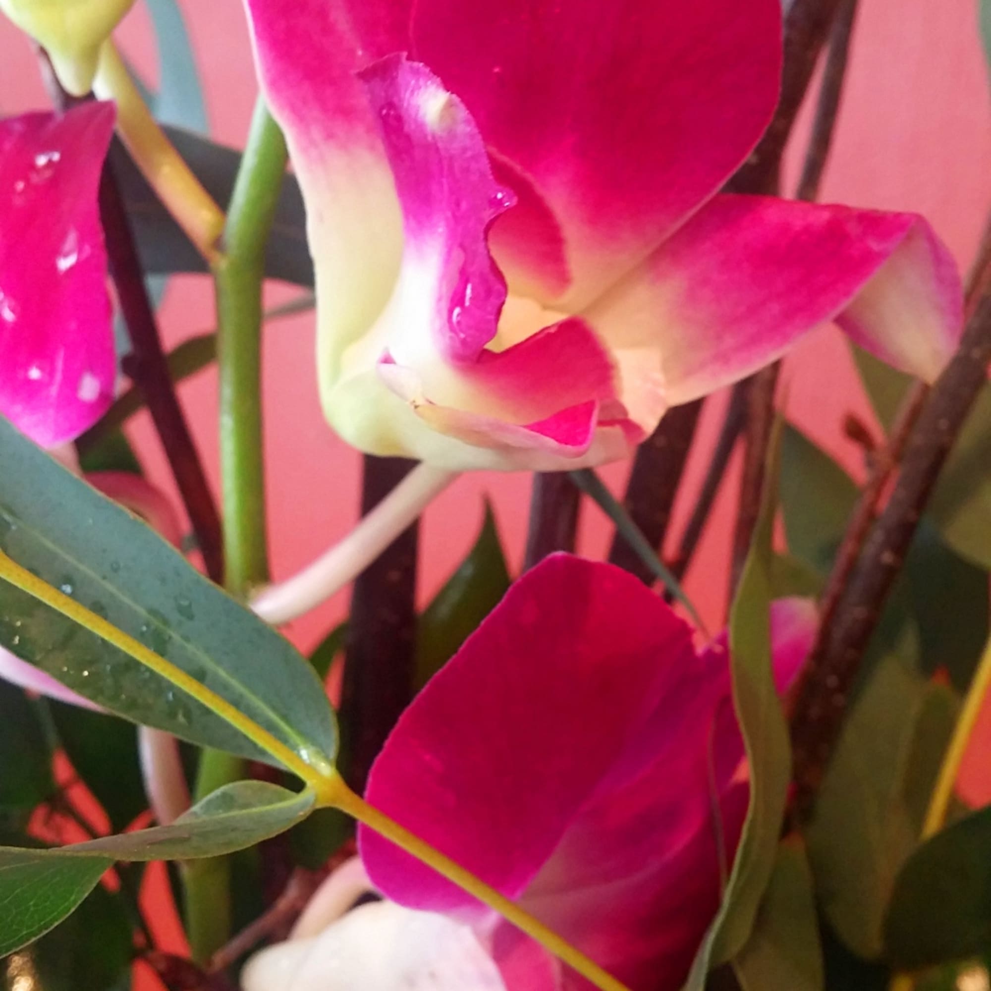 Show sympathy and express your heartfelt prayers with a touching tribute to