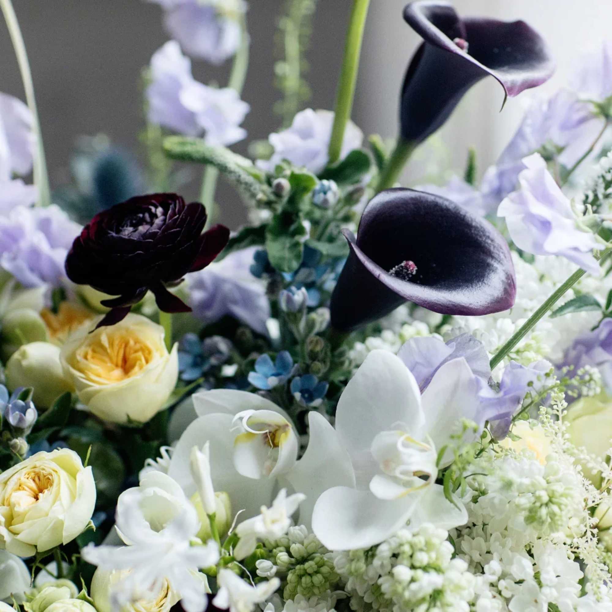 A darkly romantic composition of Sweet Pea, Black Ranunculus, Calla Lilies, Orchids