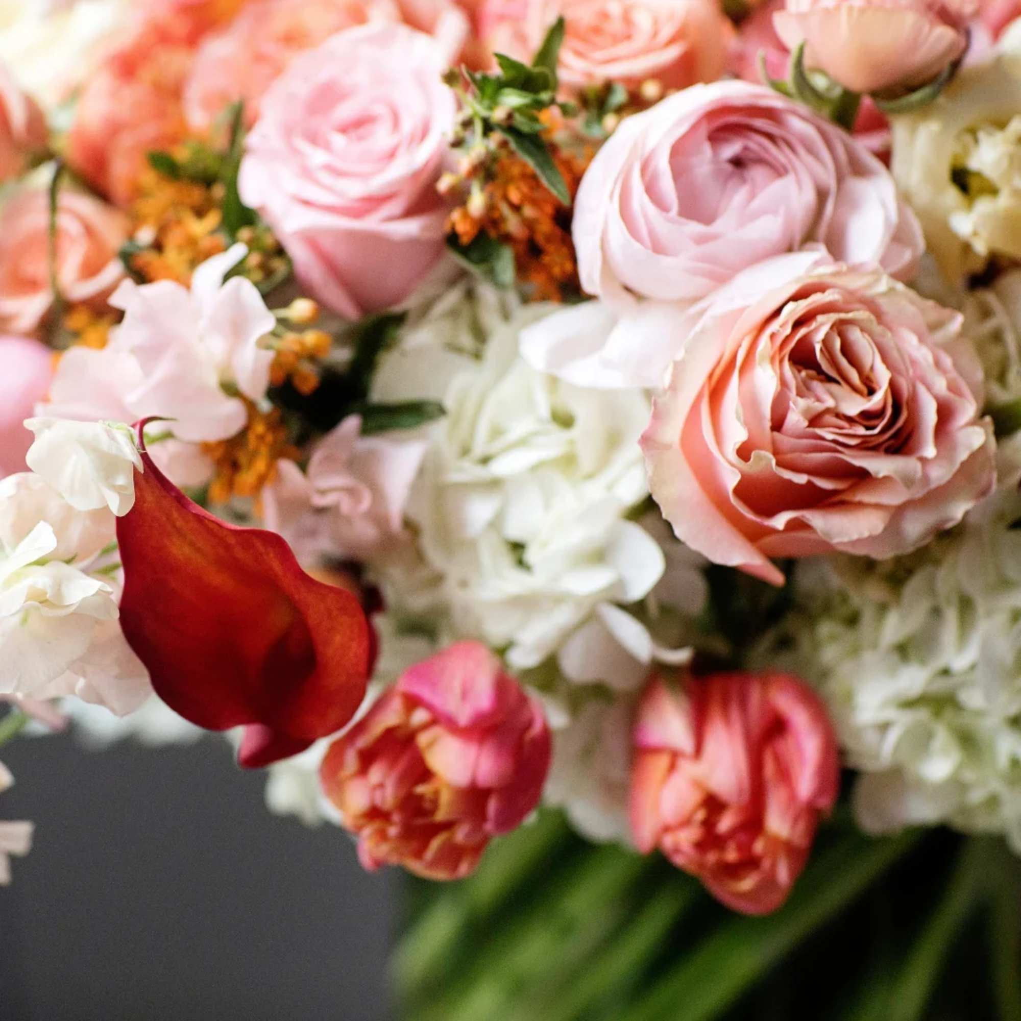 A radiant composition of Ranunculus, Sweet Pea, Calla Lilies, French Tulips, and