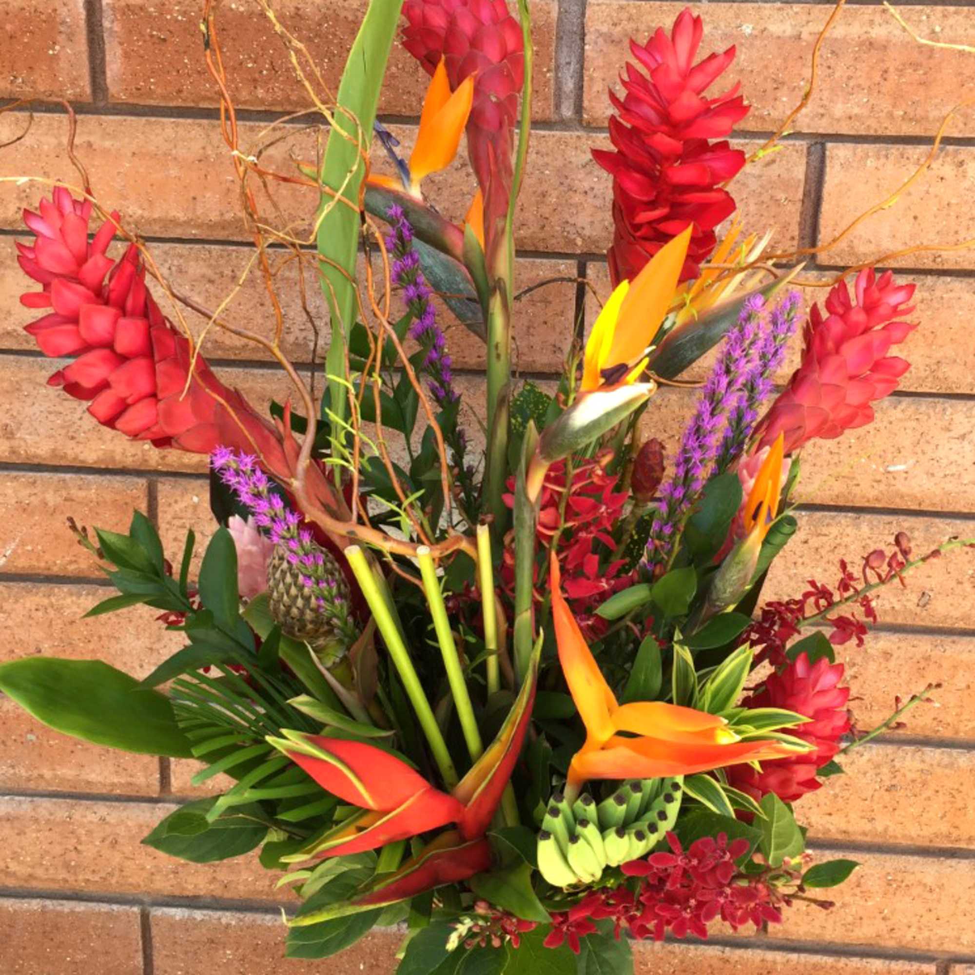 Encounter rainforest of tropical America. This exotic tropical bouquet of Gingers, Birds