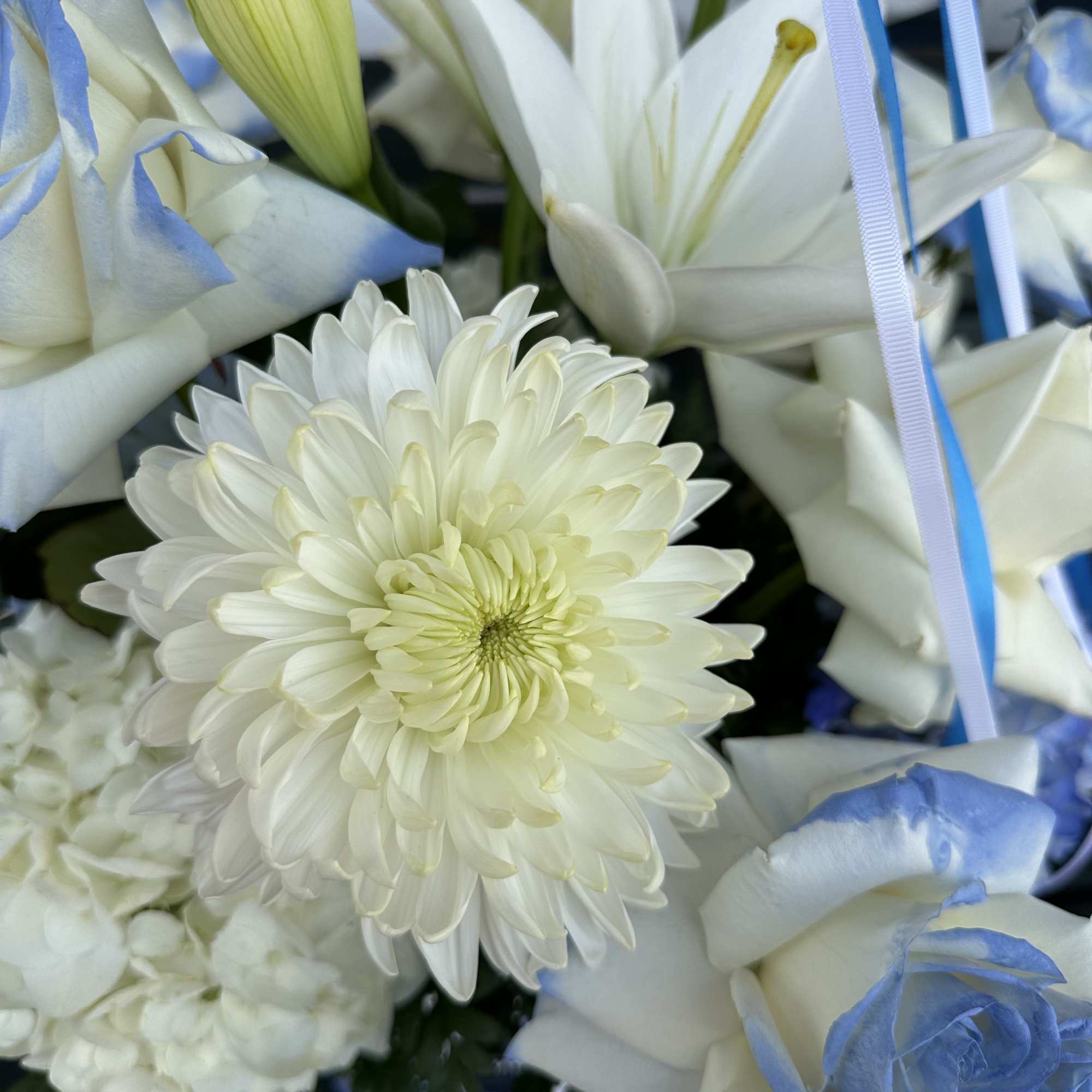 Enjoy this very special and soft floral design! 