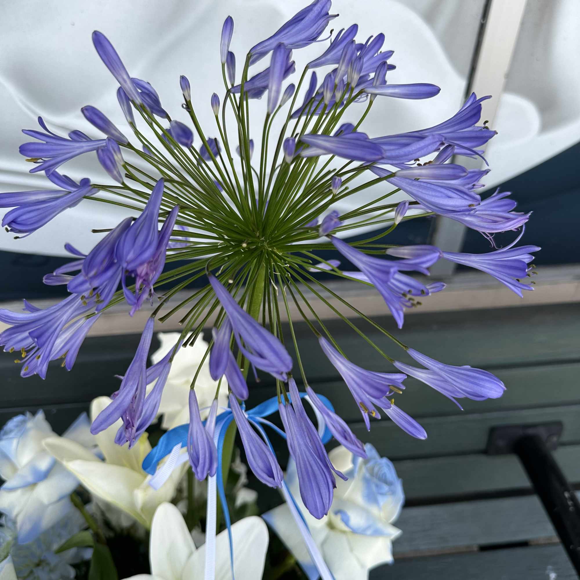 Enjoy this very special and soft floral design! 