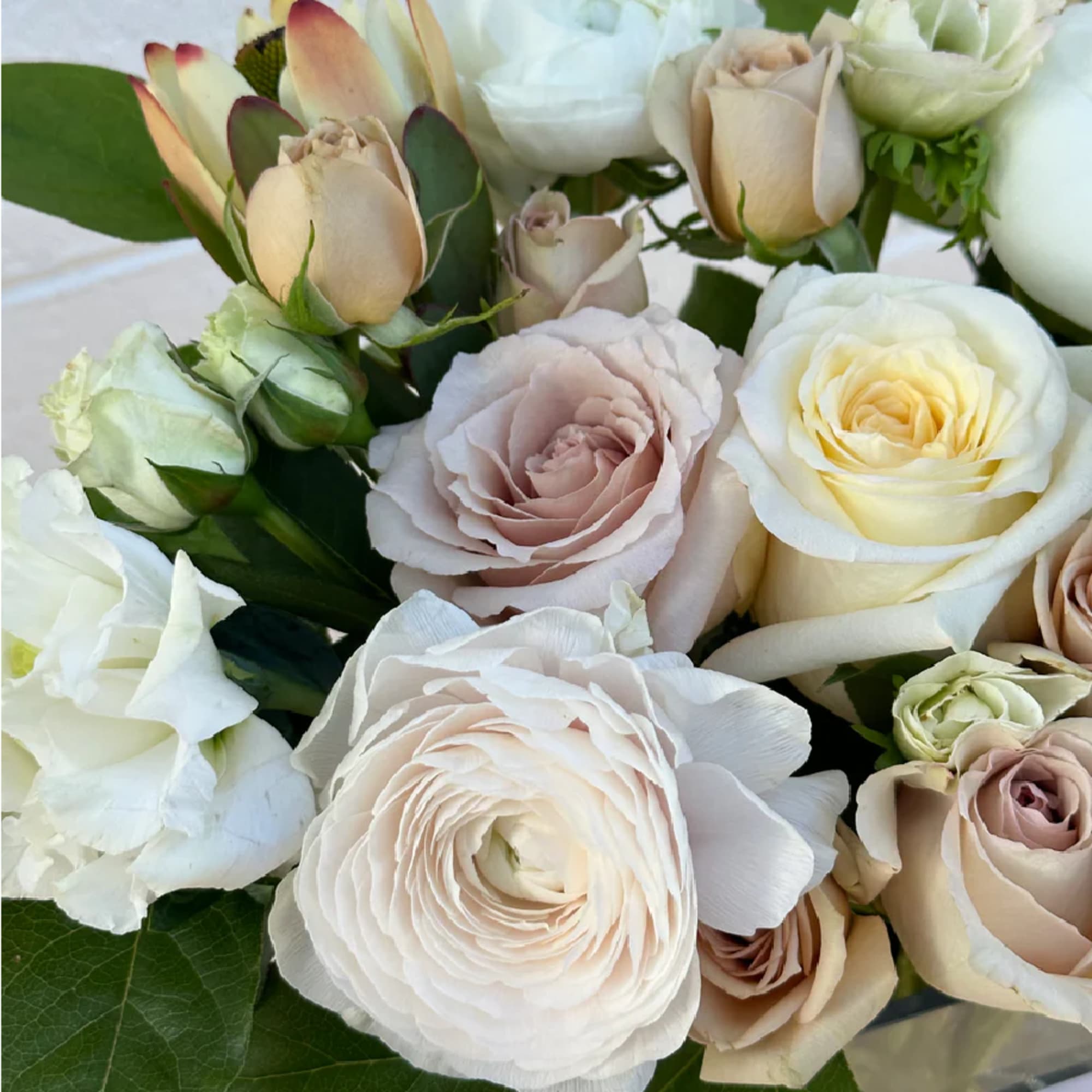 &quot;Introducing Nude Peonies - the perfect addition to any floral arrangement from