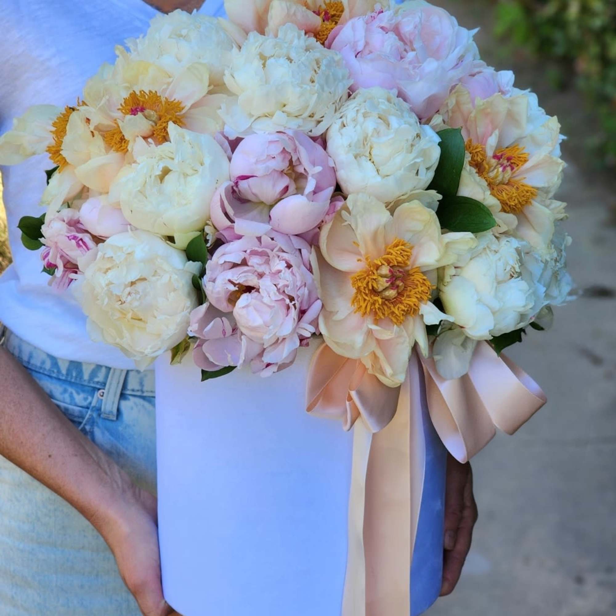 Discover the elegance of our premium peony collection featuring vibrant Peony White