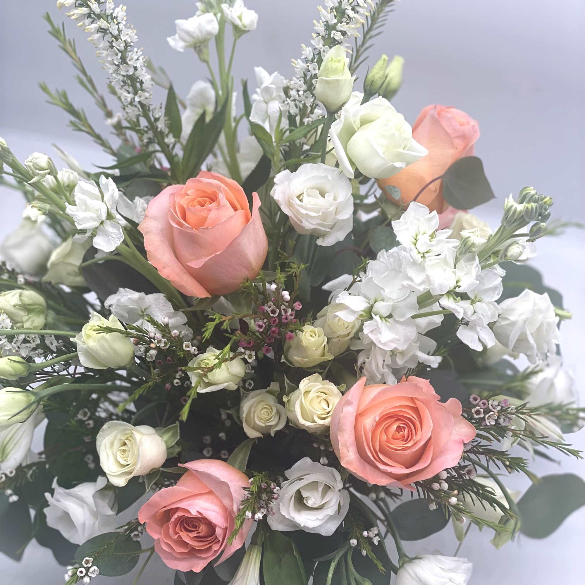 This arrangement features soft coral roses as the focal point, complimented by