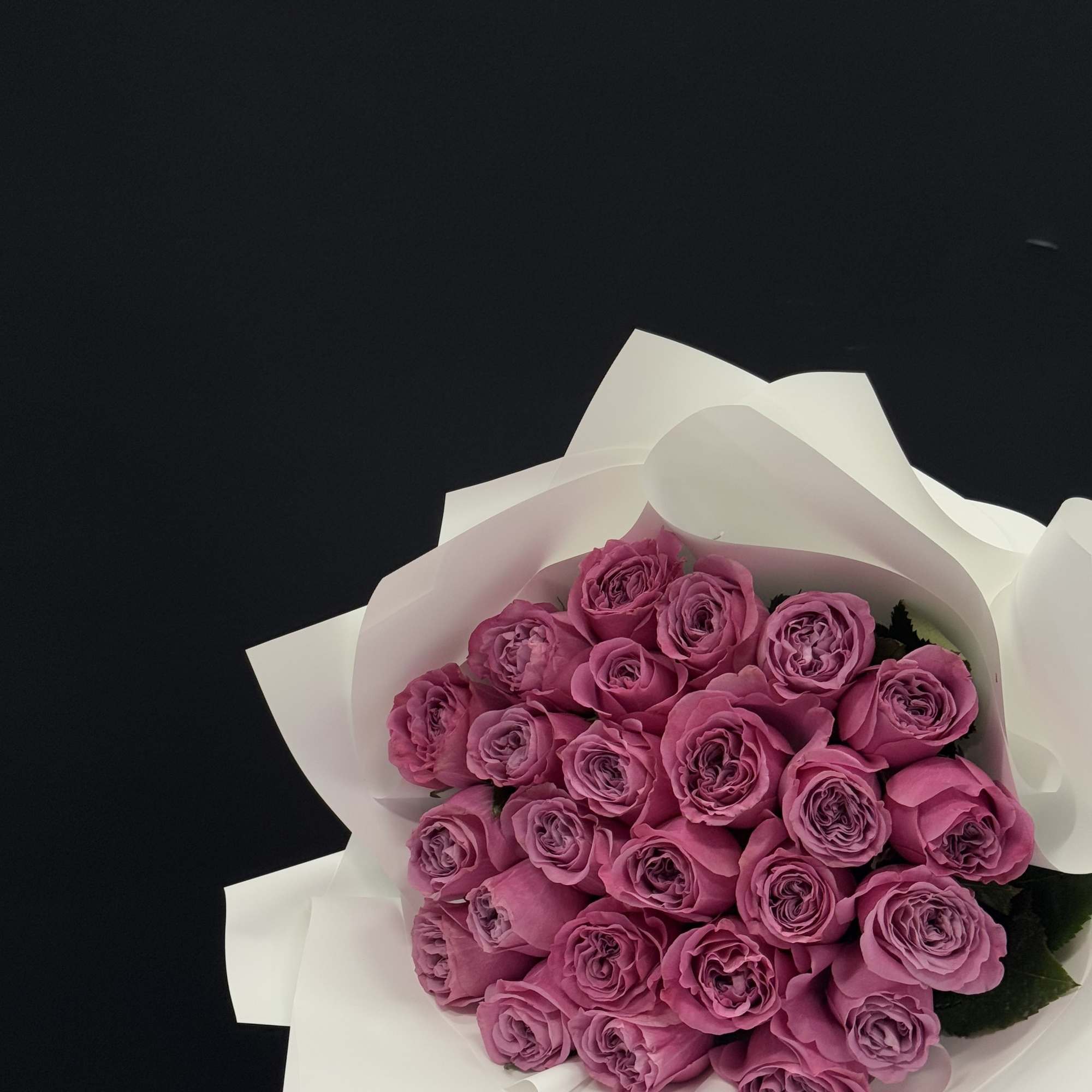 Beautiful wrapped purple roses