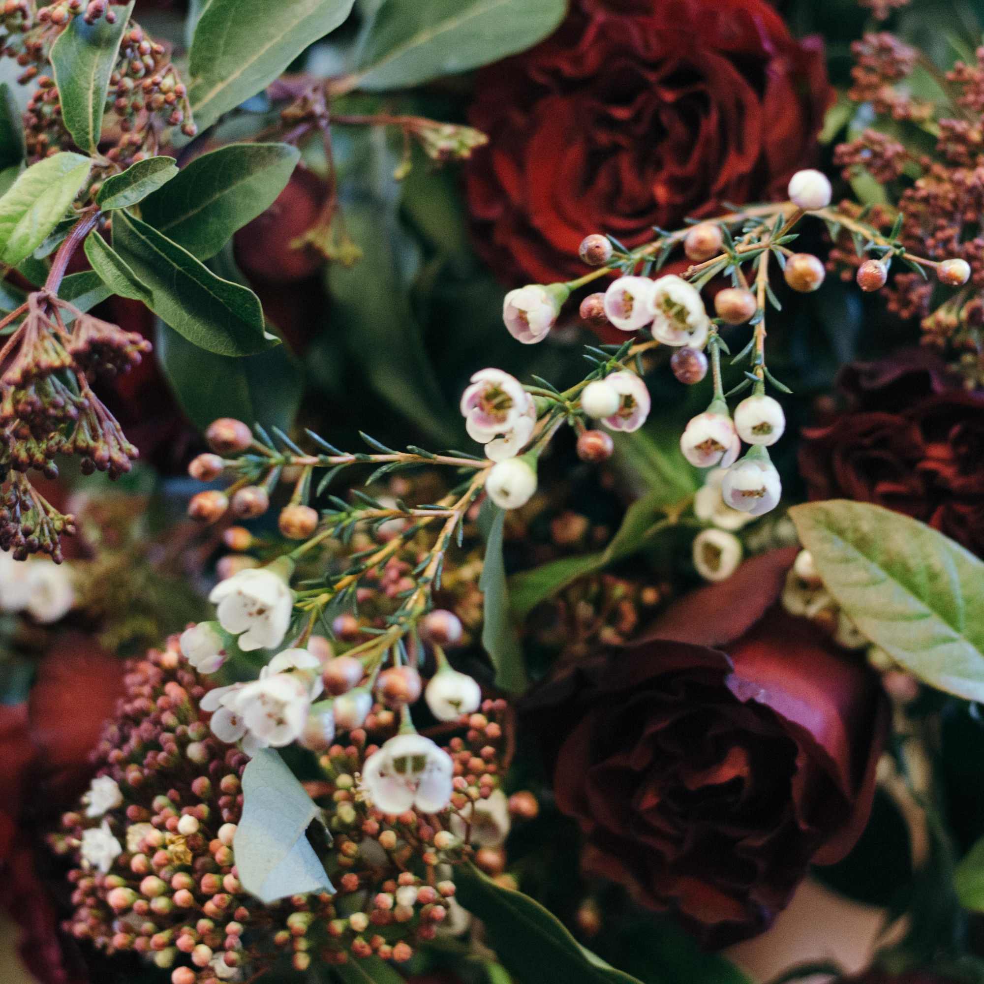 A bouquet of deep red roses and green texture that have an A bouquet of deep red roses and green texture that have an
