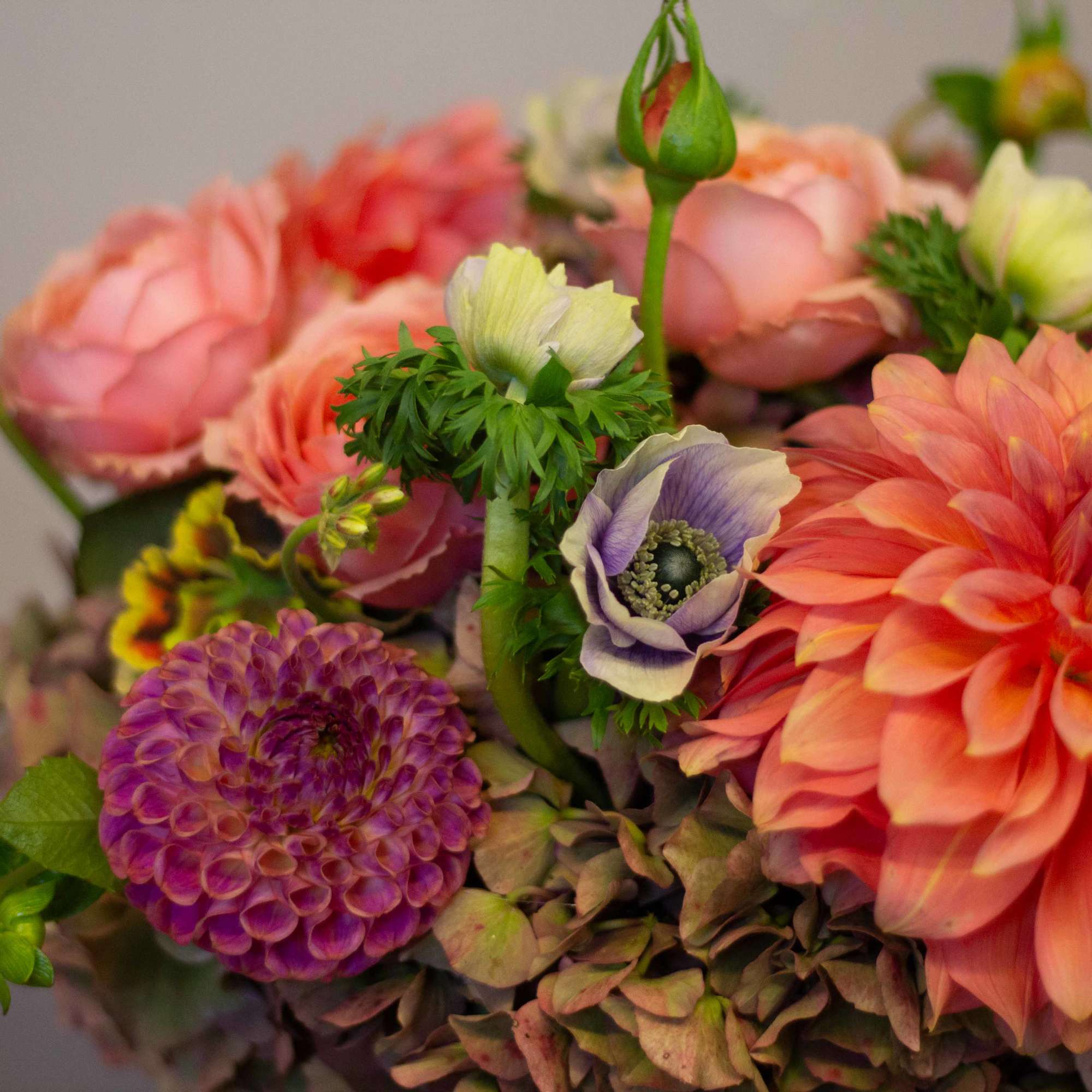 Peach and purple seasonal flowers with hydrangea in a spherical mercury glass Peach and purple seasonal flowers with hydrangea in a spherical mercury glass