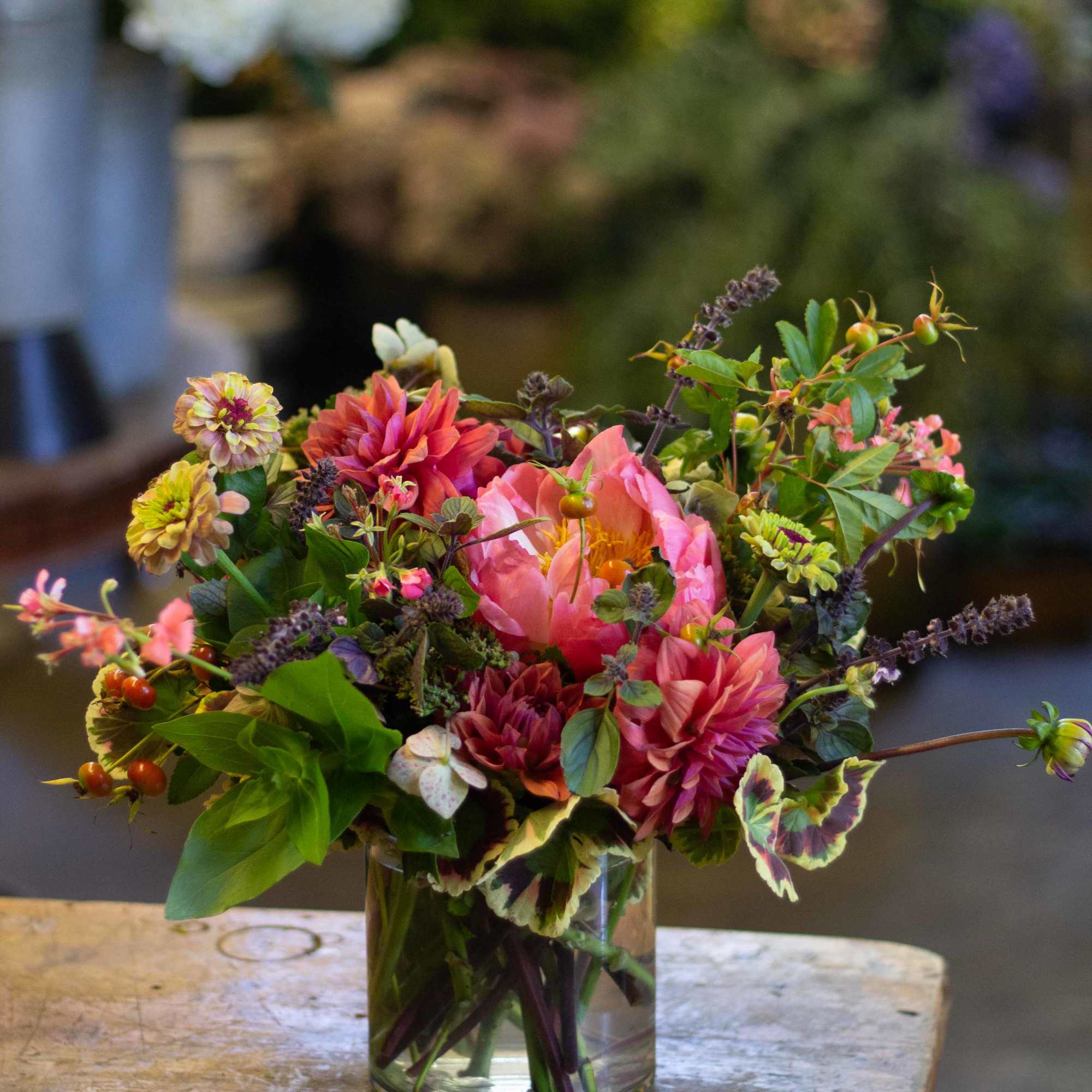A lush arrangement of brightly colored seasonal flowers, geranium and berries.  A lush arrangement of brightly colored seasonal flowers, geranium and berries.