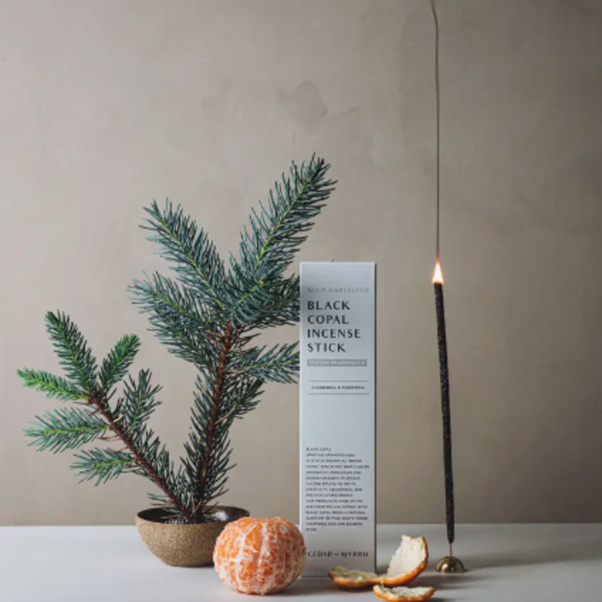 Black Copal,  also known as Mayan Copal has been used by