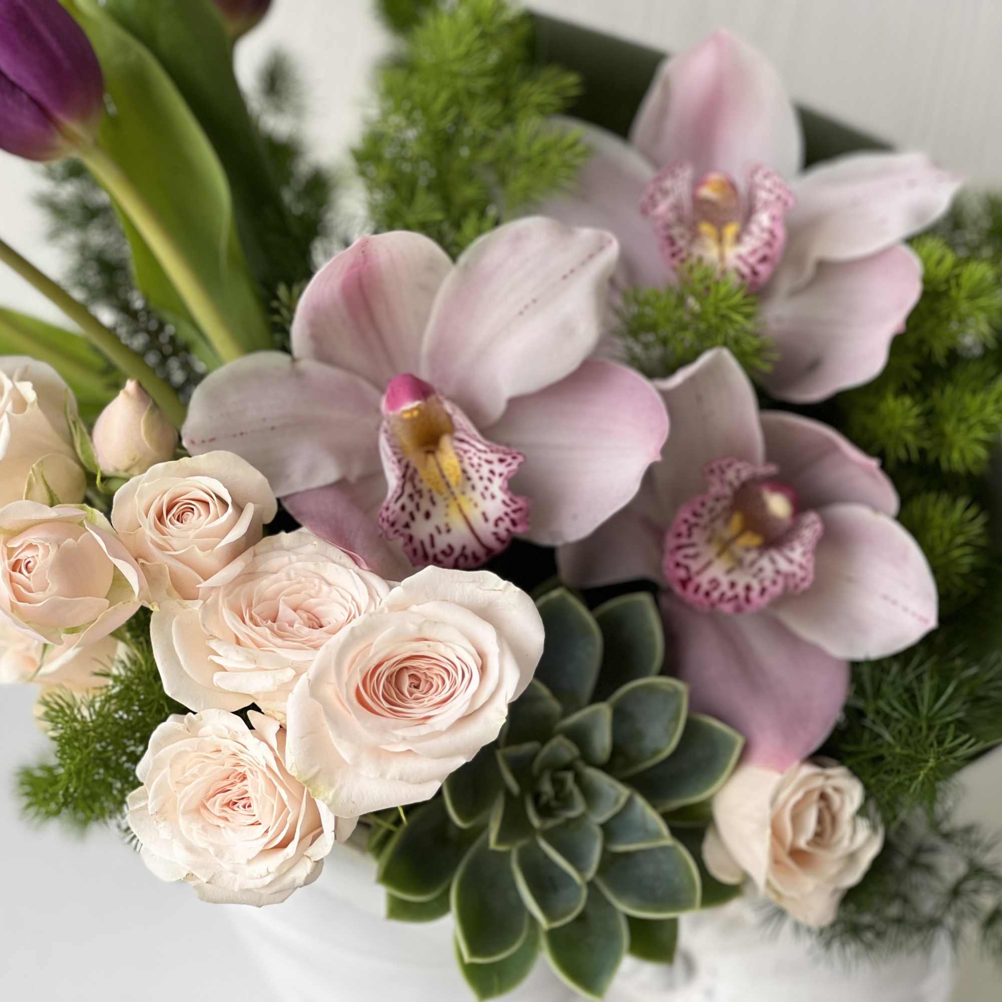 Bring the tranquility and beauty of the beach into your space with