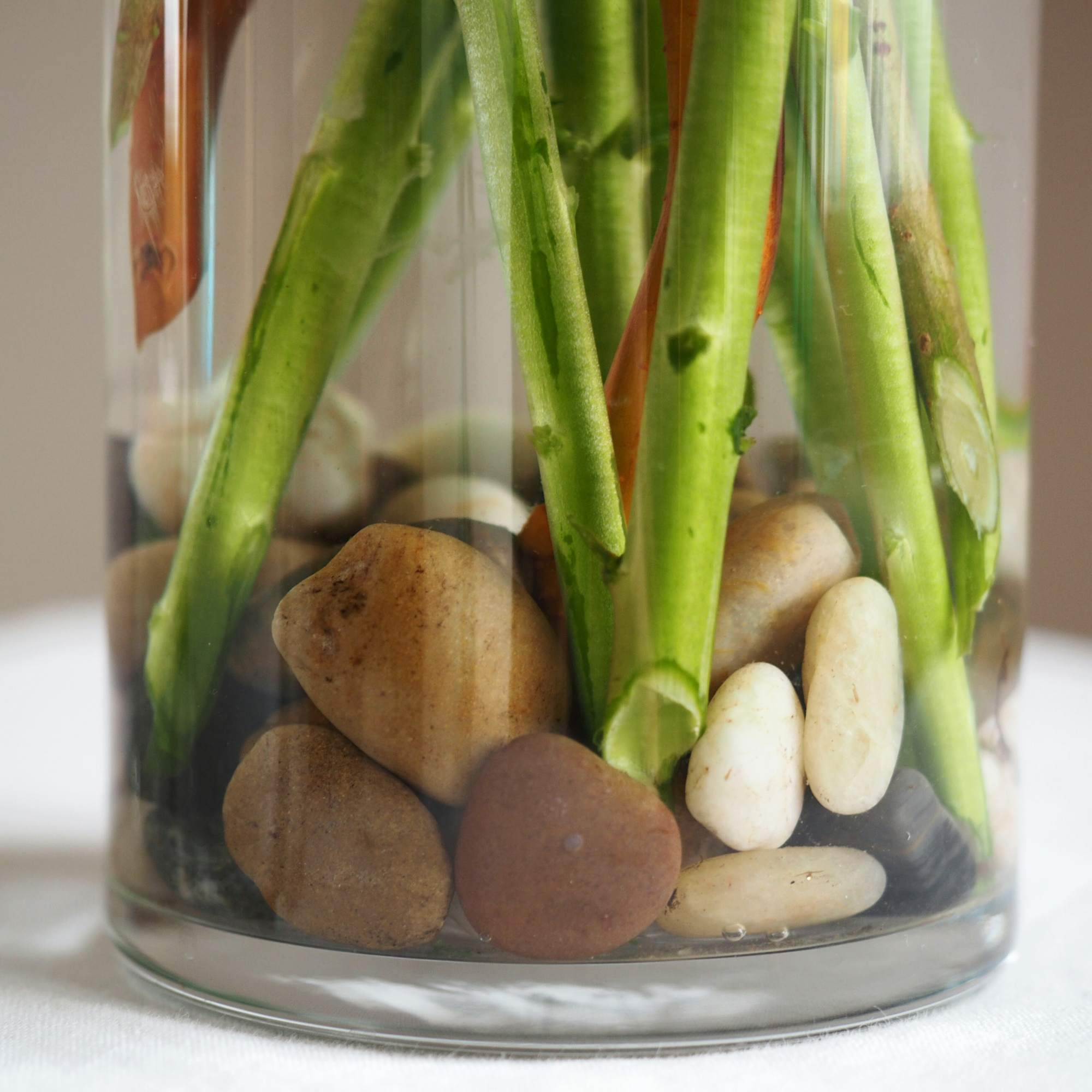 Tall and striking, this mono-floral arrangement features snapdragons with fresh greens, expressive