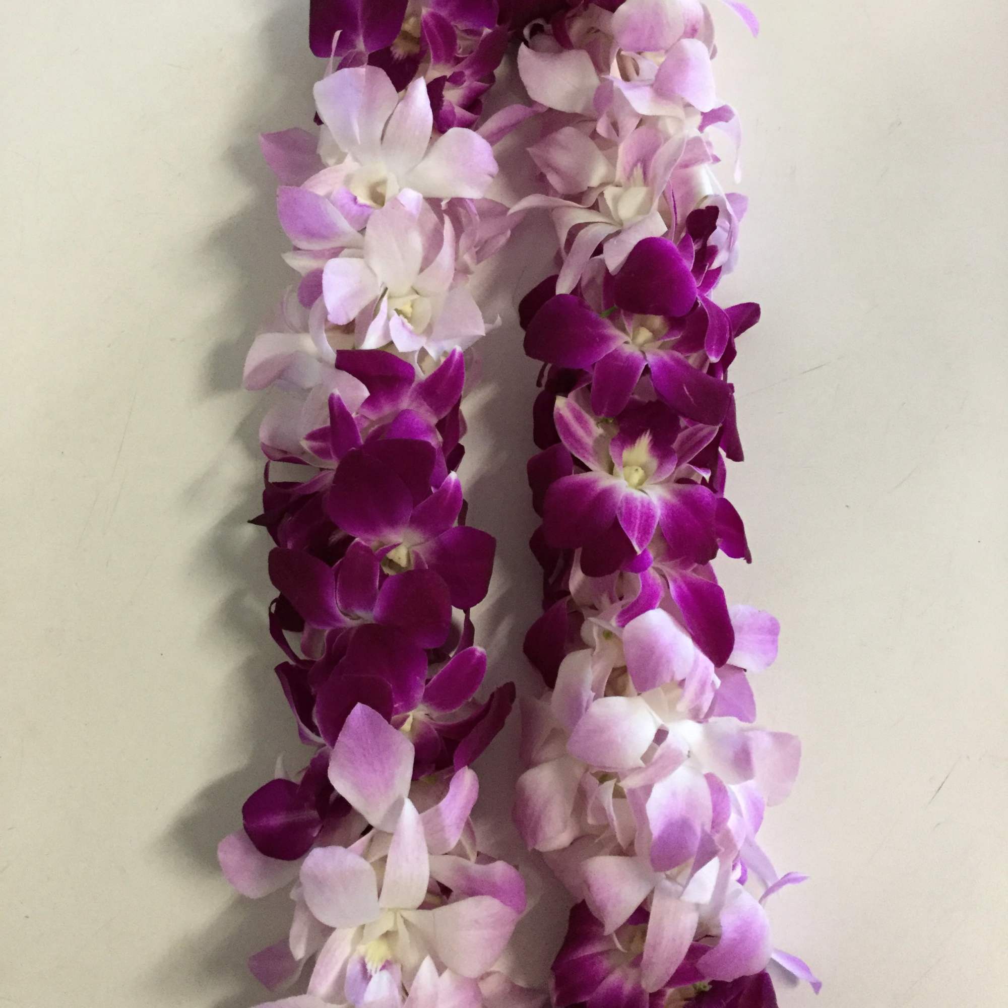 orchid leis all different colors