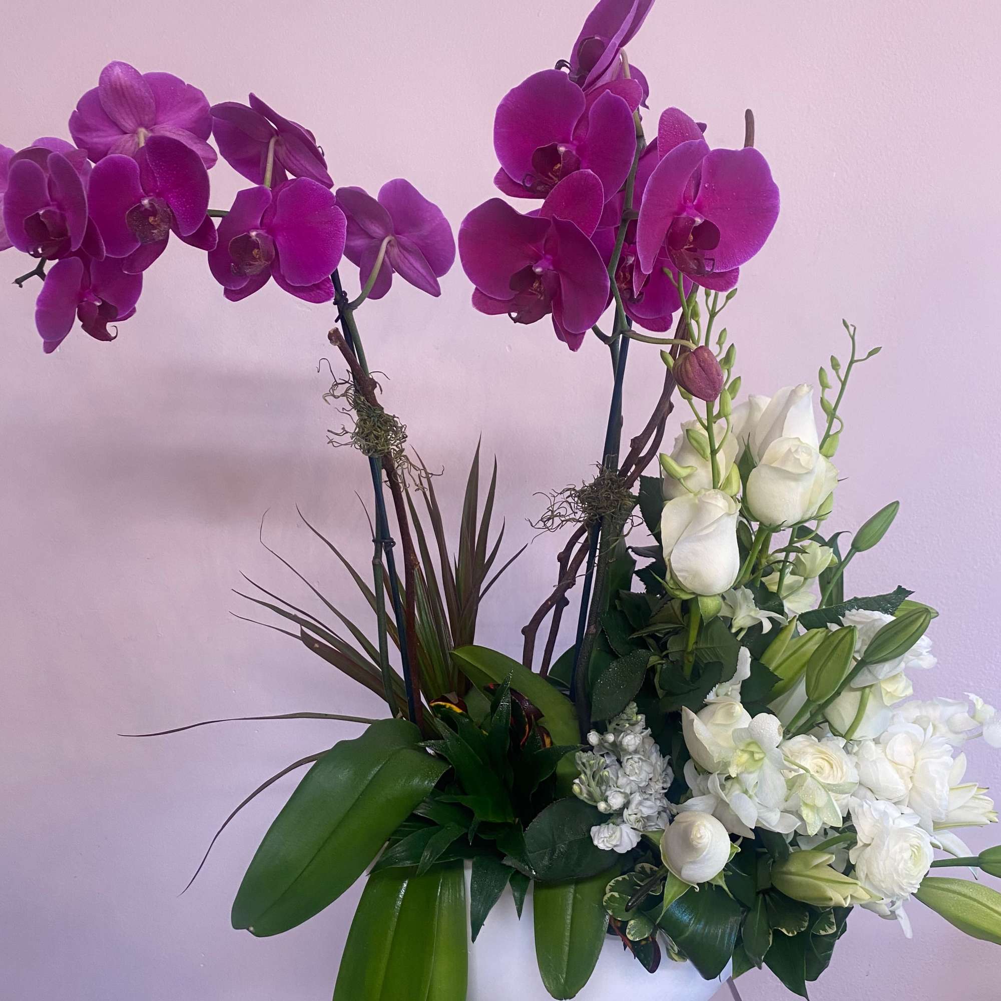 2 large fuchsia orchid blooming plants and a medley of florals such