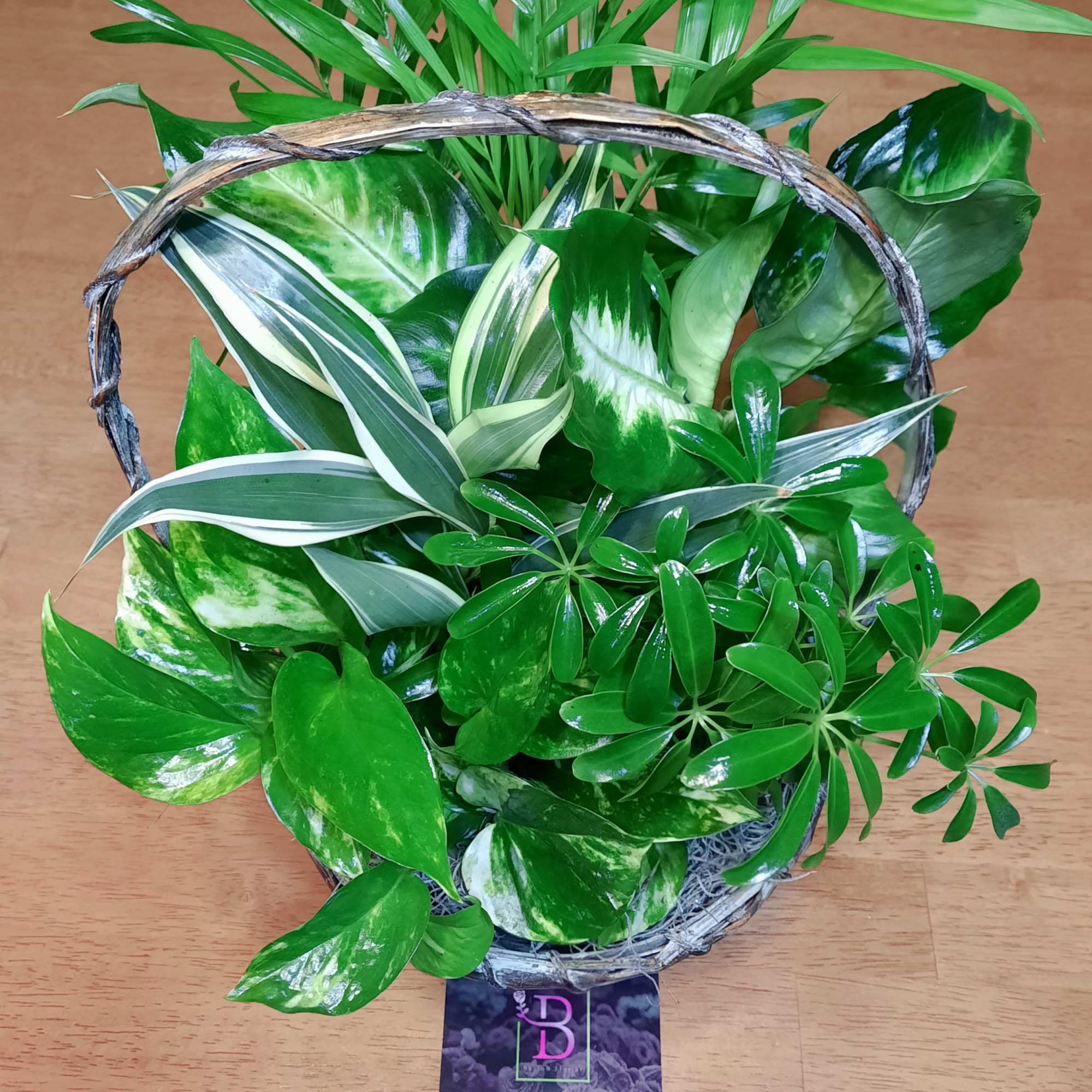 As green as an emerald and as bountiful as a garden! This As green as an emerald and as bountiful as a garden! This