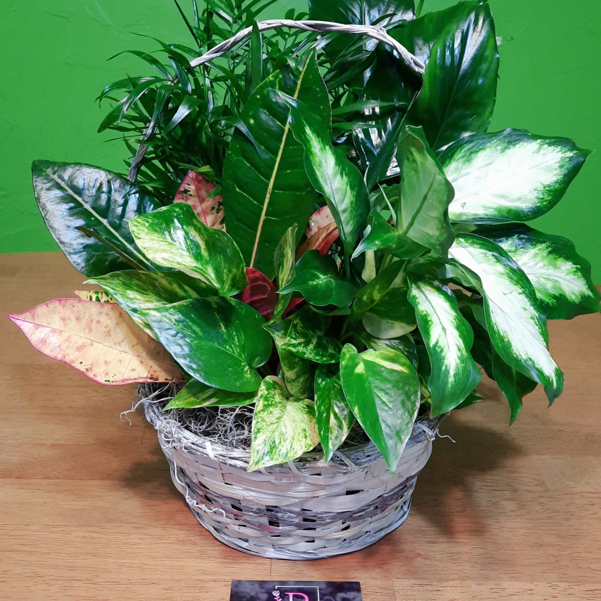 As green as an emerald and as bountiful as a garden! This