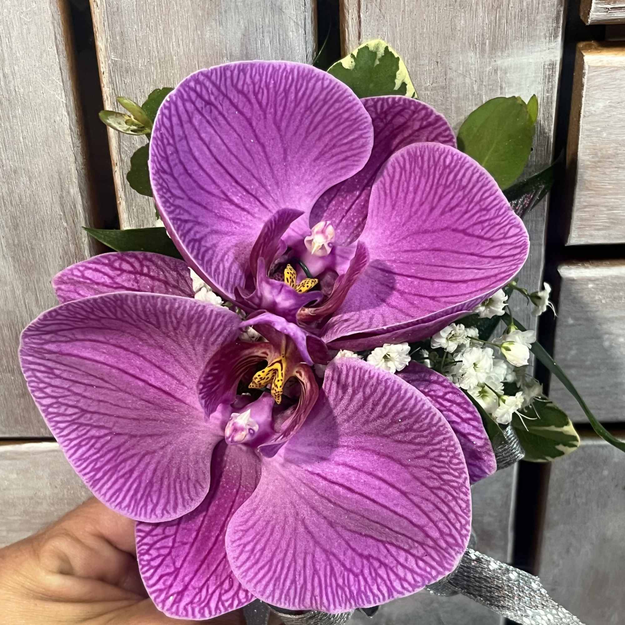Phalaenopsis Orchid Corsage by Unique K Floral Studio in Monroe