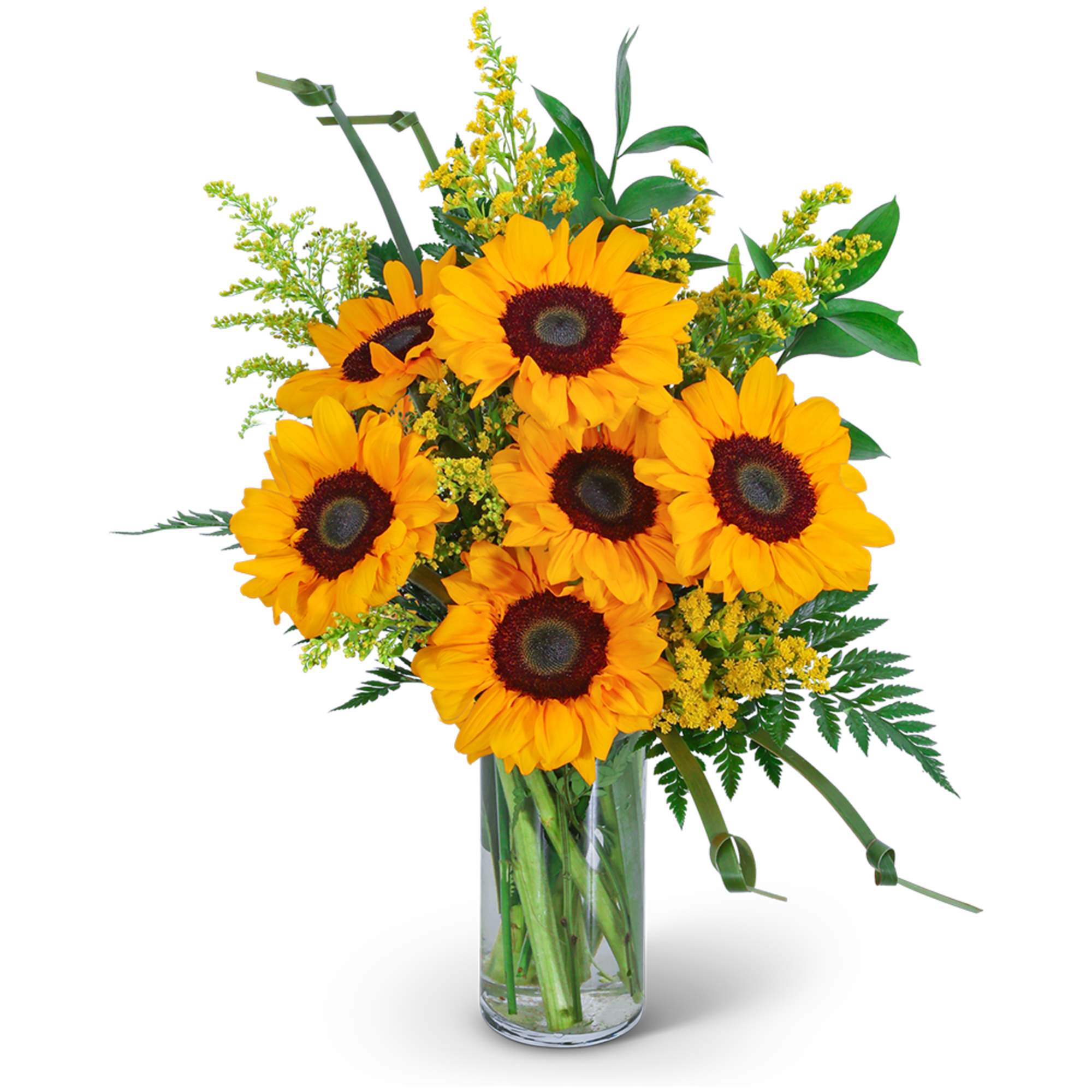 Sunflowers and Love Knots is a captivating flower design that exudes warmth Sunflowers and Love Knots is a captivating flower design that exudes warmth
