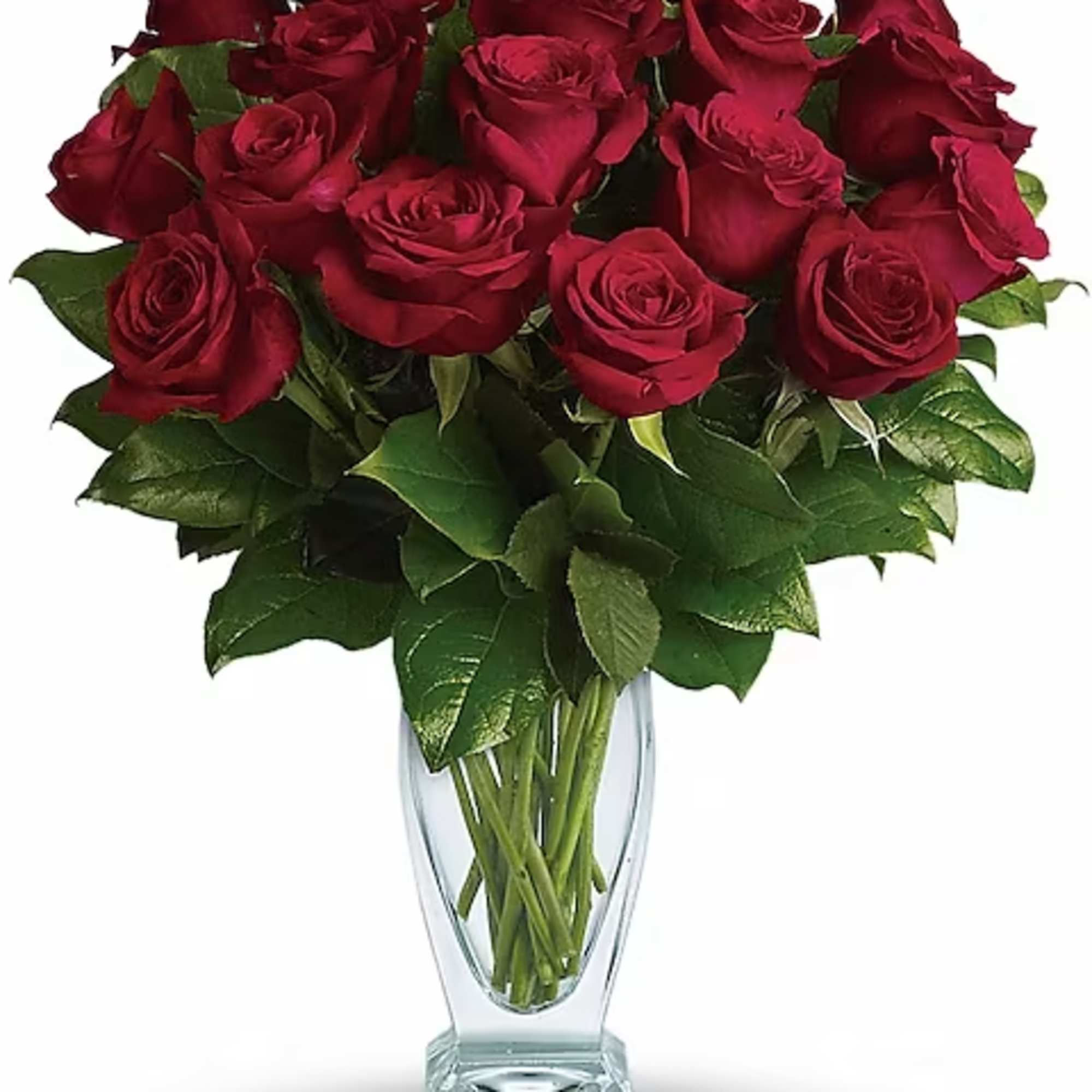 Red roses have symbolized love and romance for centuries. One need only
