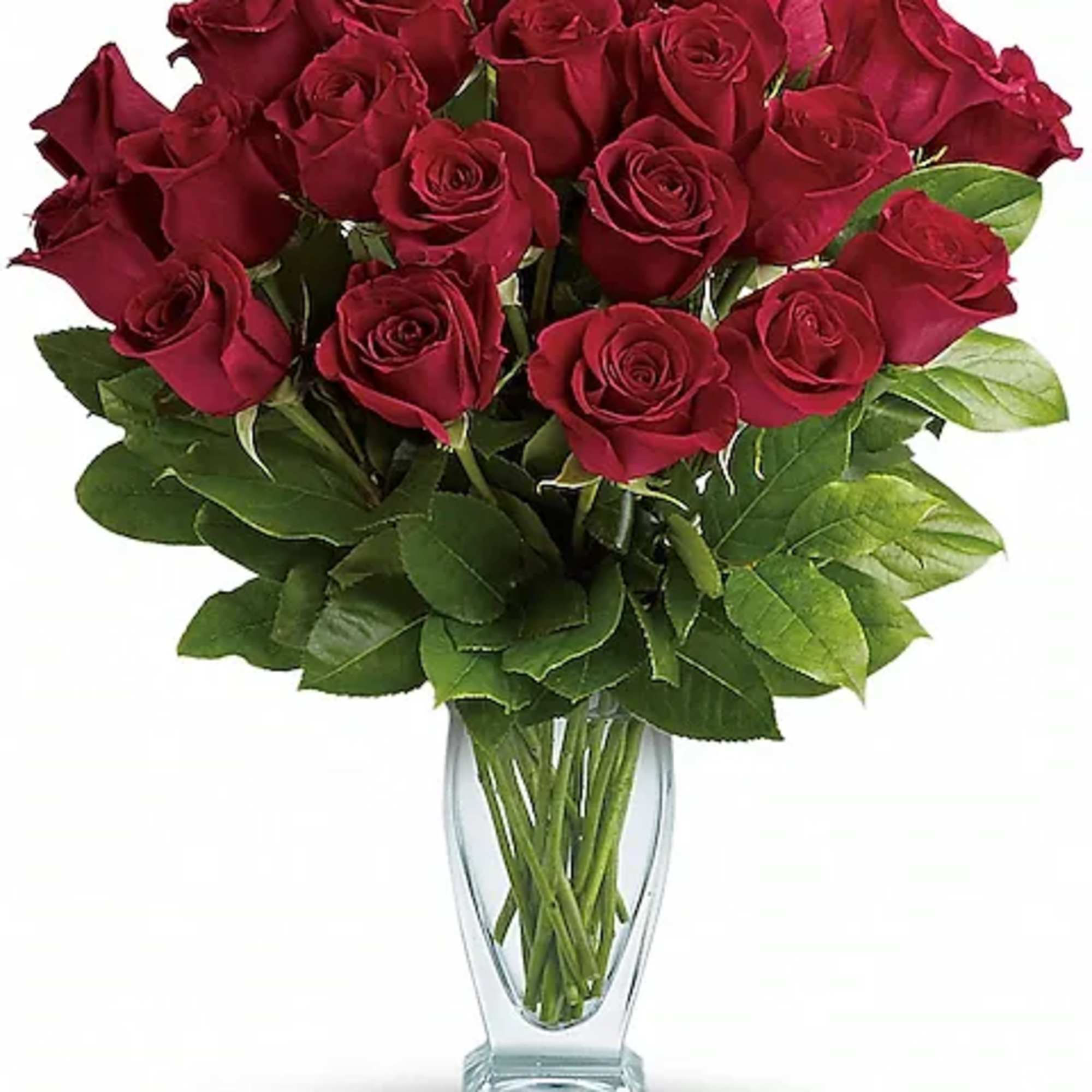 Red roses have symbolized love and romance for centuries. One need only