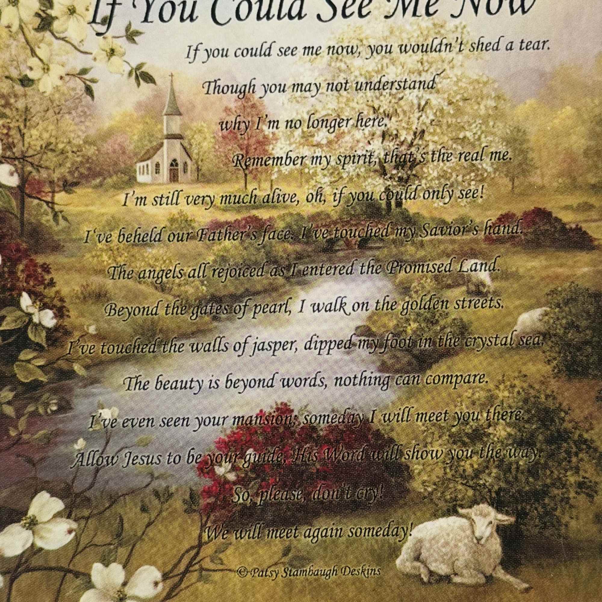 This beautiful  If You Could See Me Now tapestry throw is