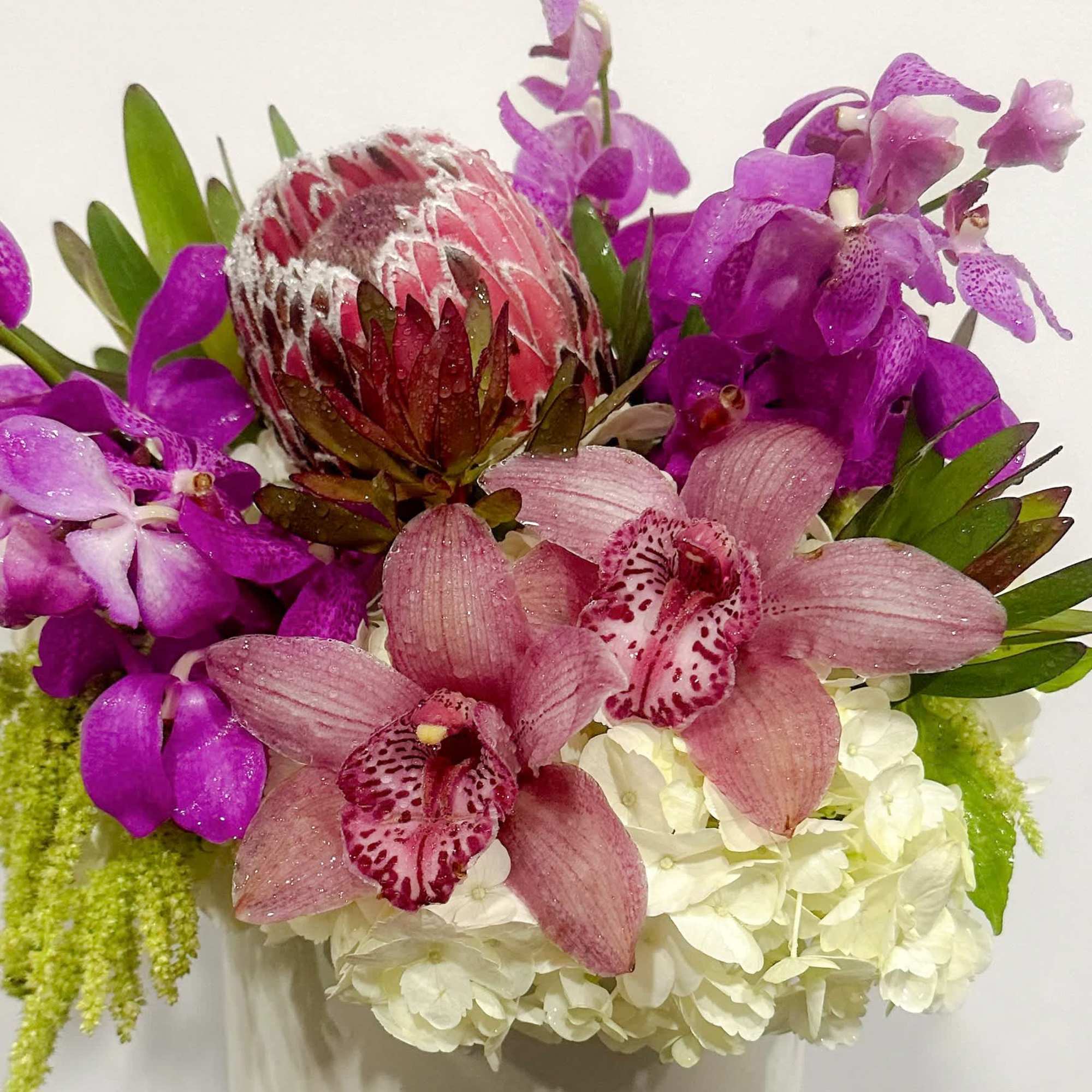 A captivating fusion of cymbidium orchids, roses, protea, and hydrangeas artfully arranged
