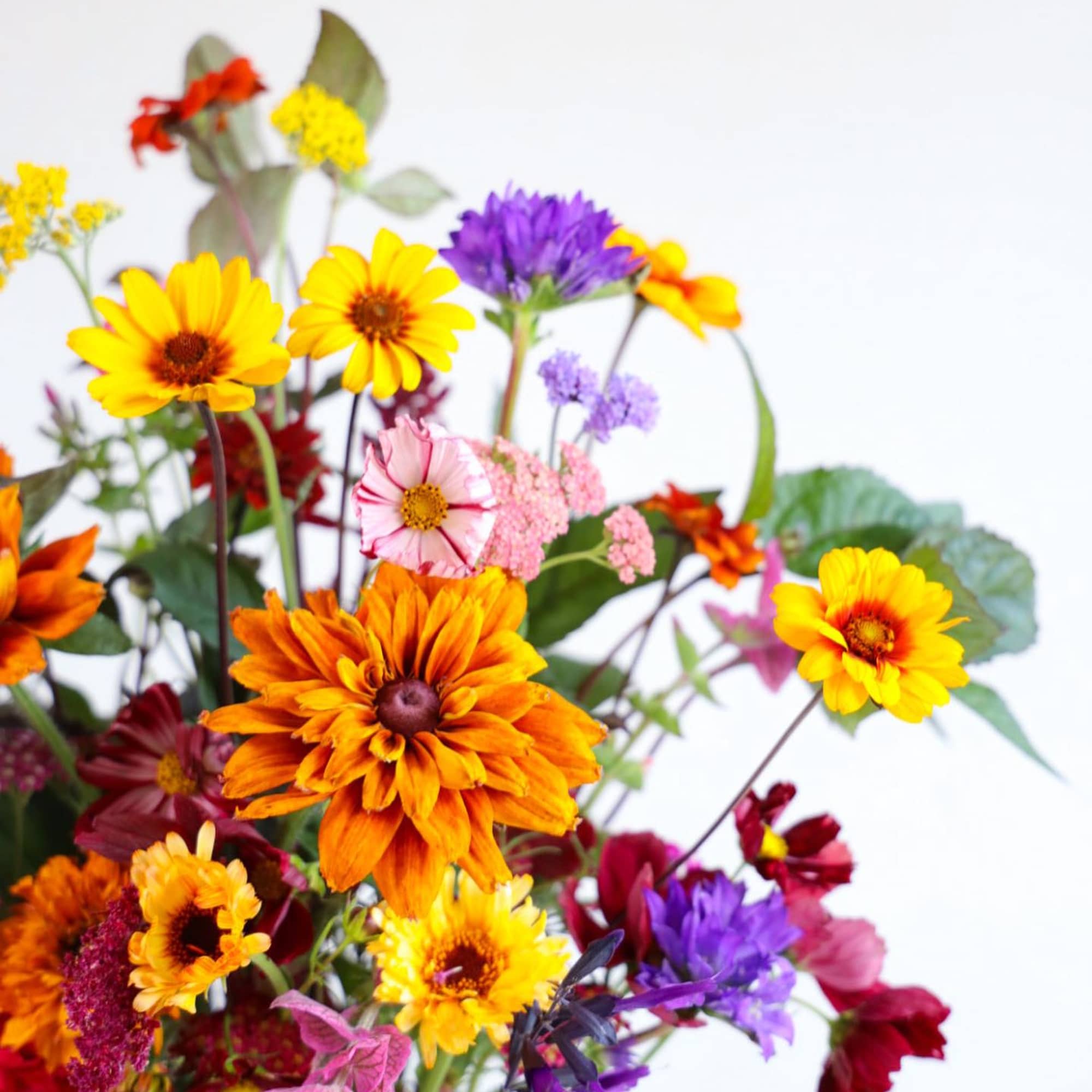 The Garden Party! 100% Leafsong Family Farm grown. A wonderful hostess gift