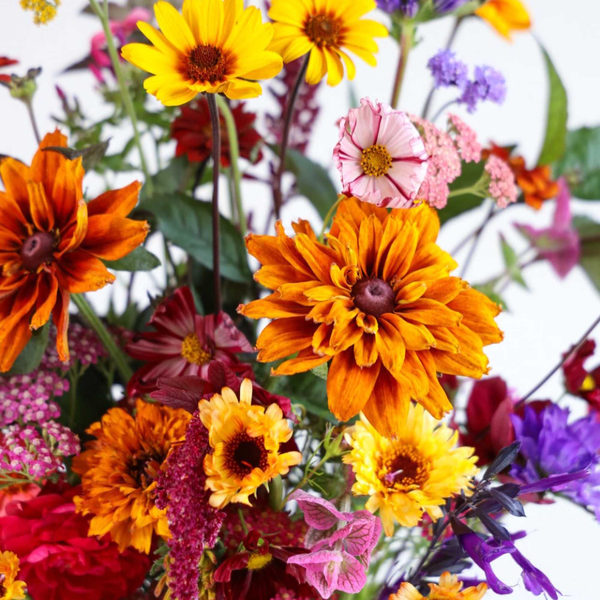 The Garden Party! 100% Leafsong Family Farm grown. A wonderful hostess gift