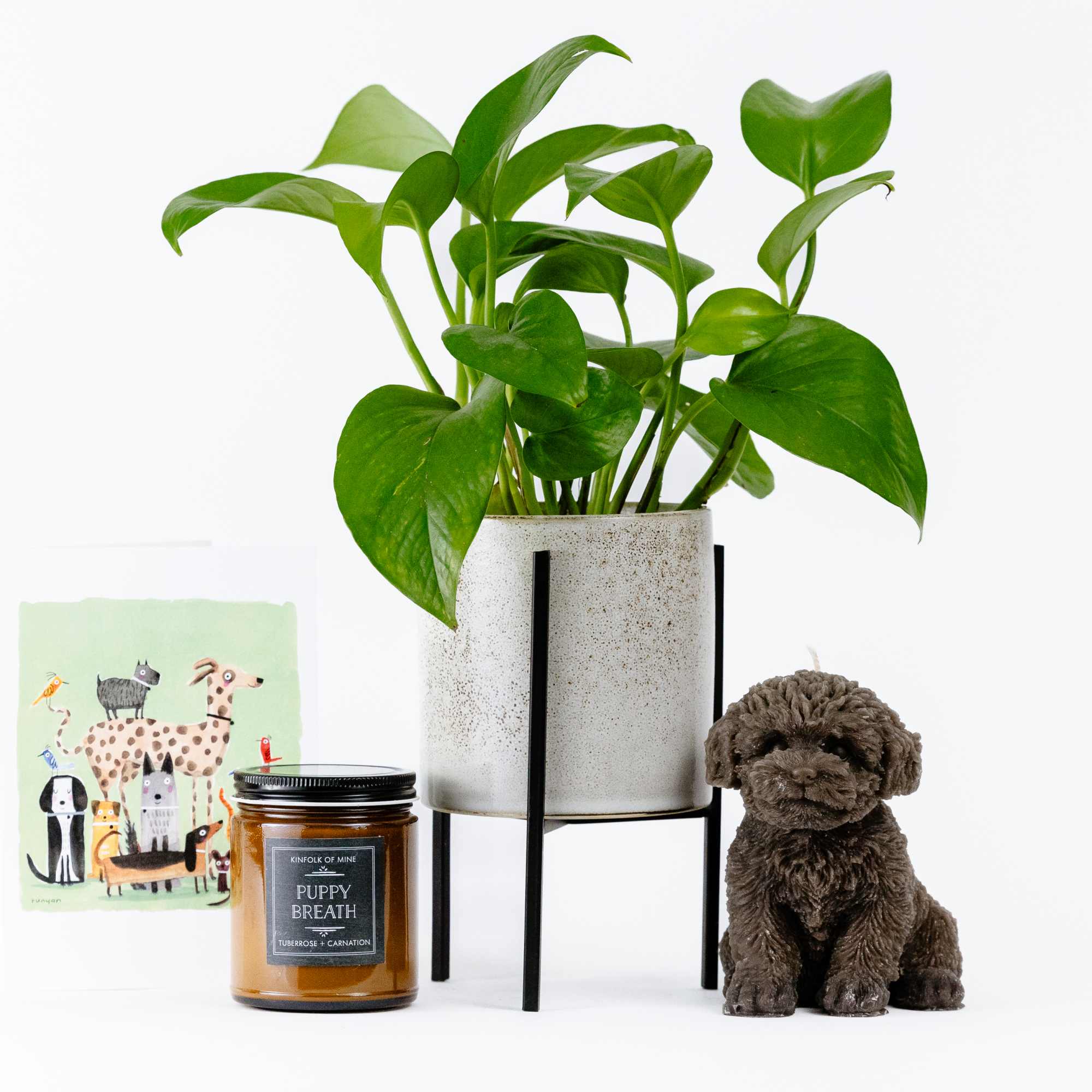 Give this gift set to anyone who has a furry best friend.
