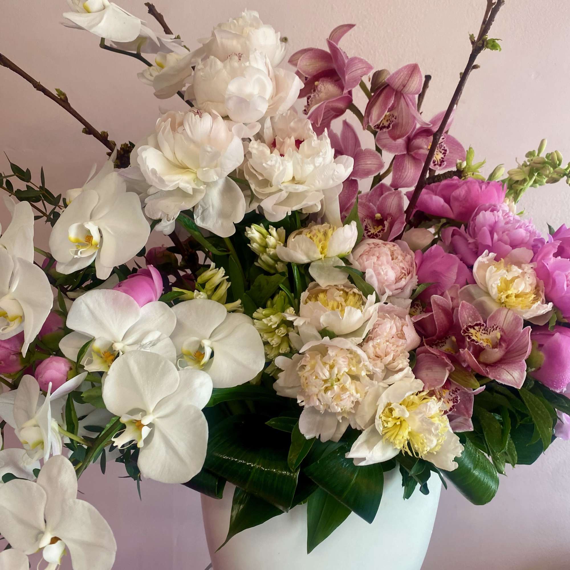 An ultra array of wonder and marvel. Pink and white peonies, poppies