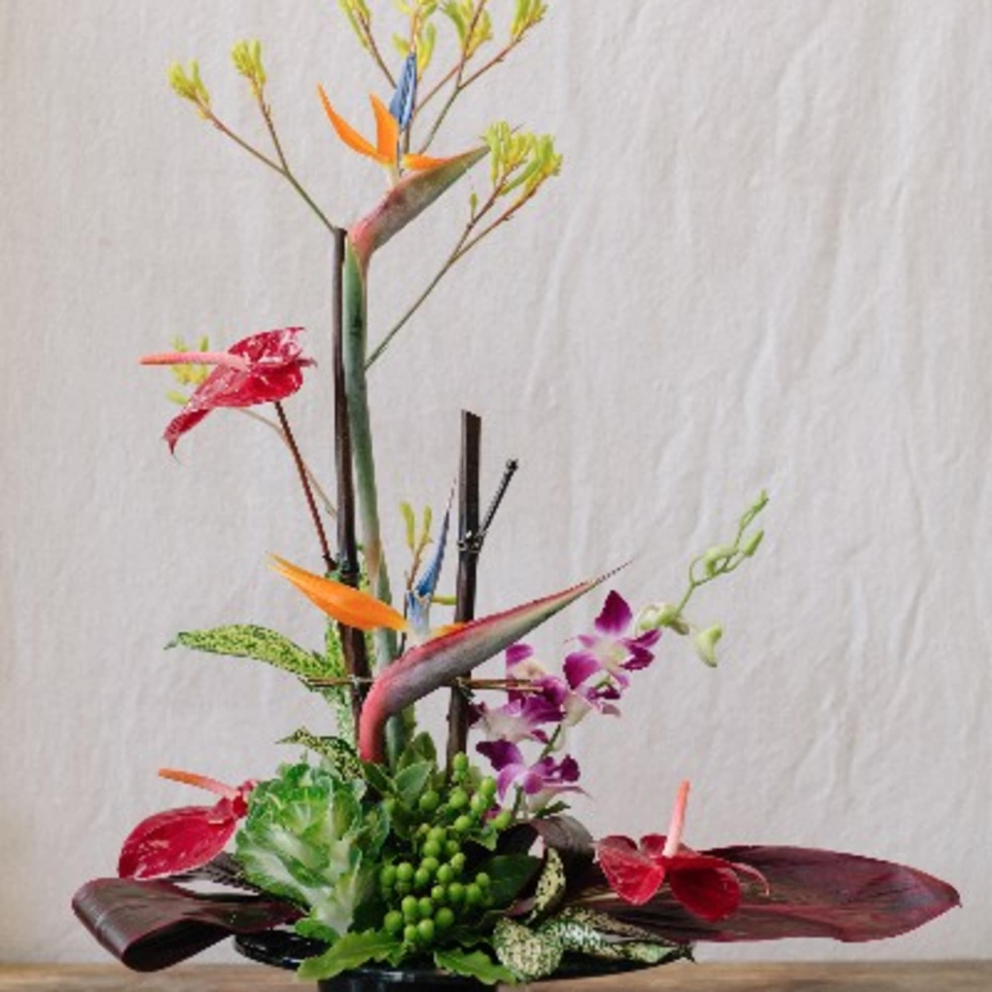 This stunning presentation piece features Hawaiian anthurium and Birds of paradise, complimented