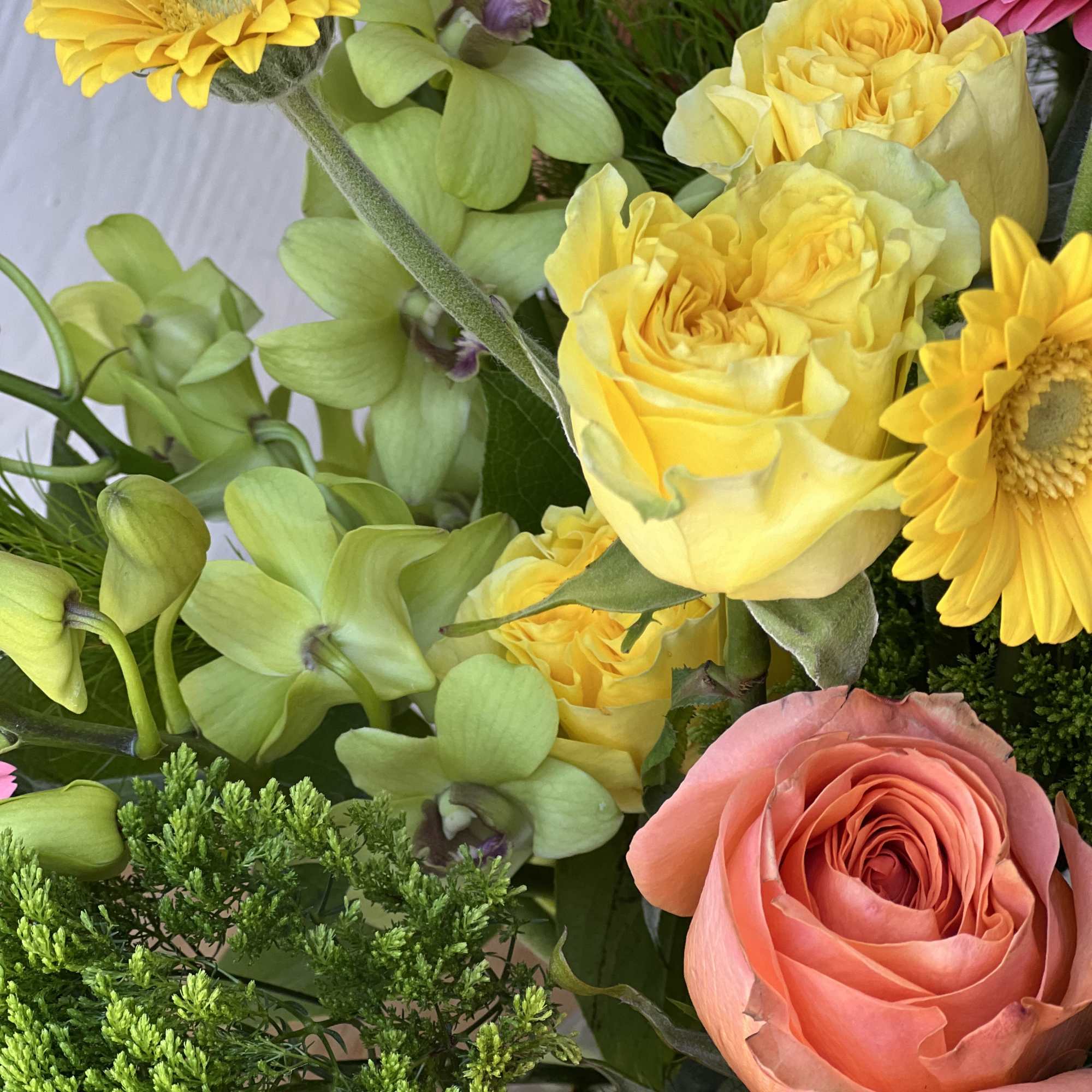 Bring some sunny cheer into your space with the vibrant and colorful