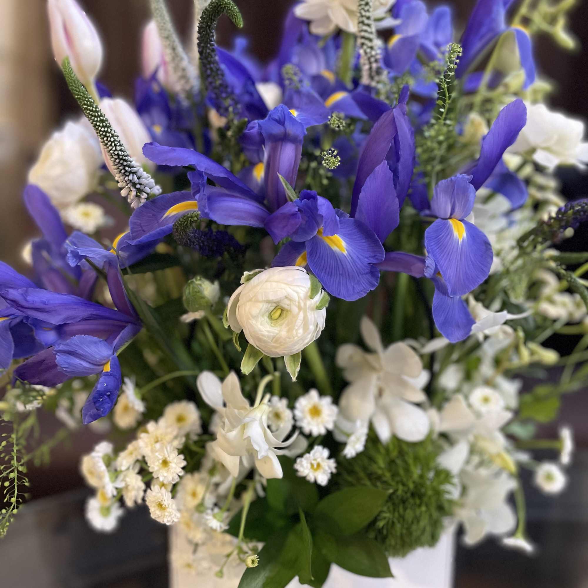 Gentle white and cold blue . Gorgeous spring composition . It&rsquo;s a